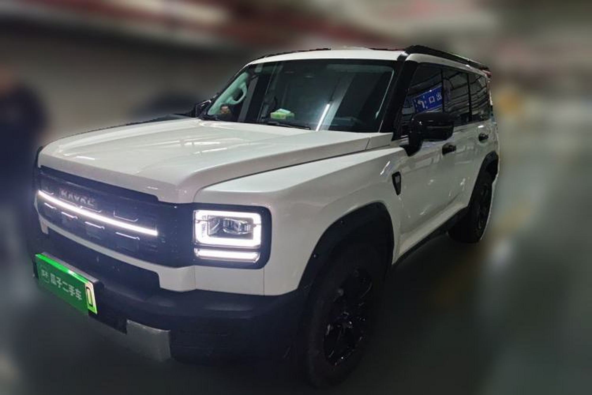 Haval Raptor New Energy