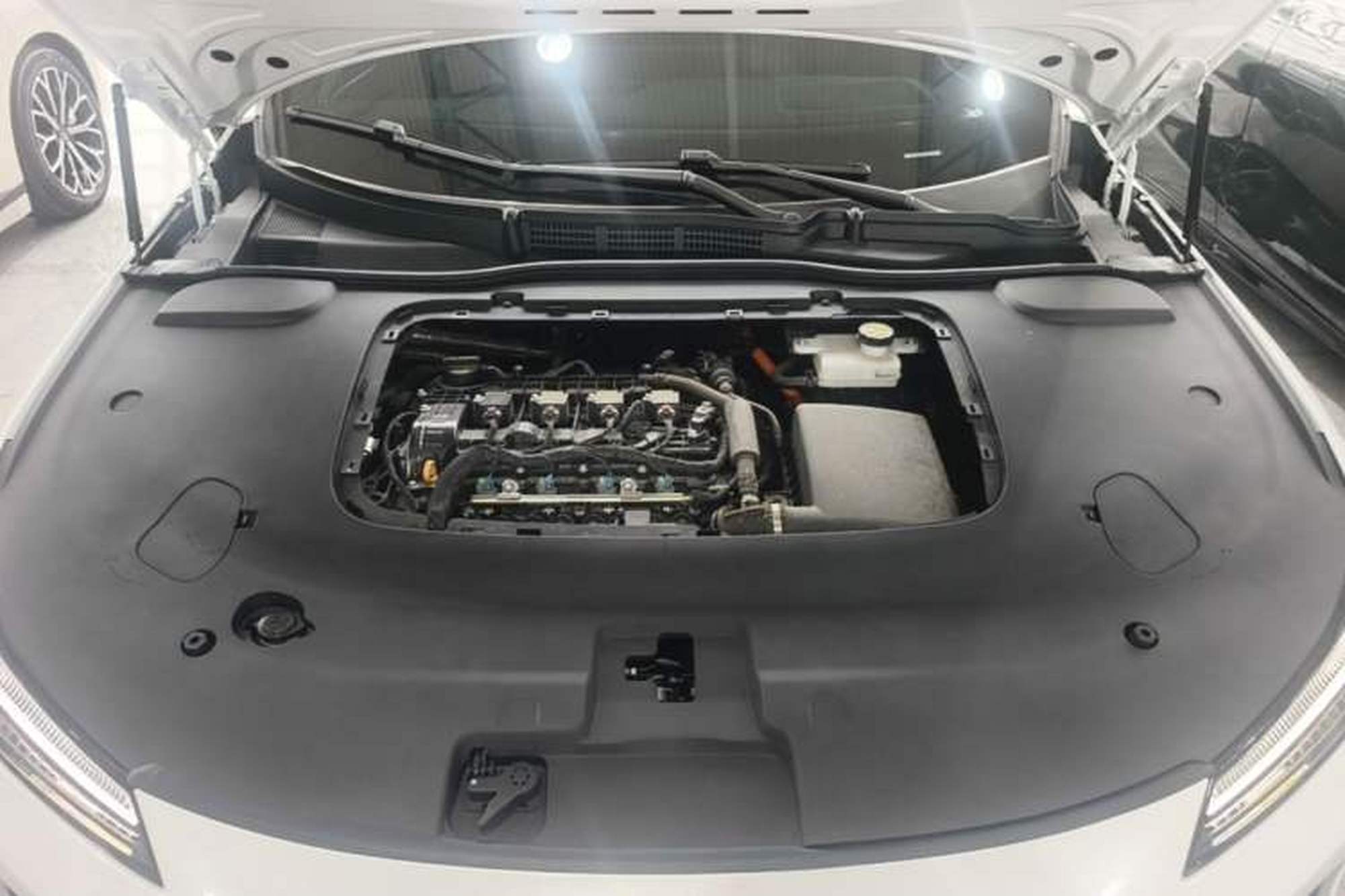miniatura 24