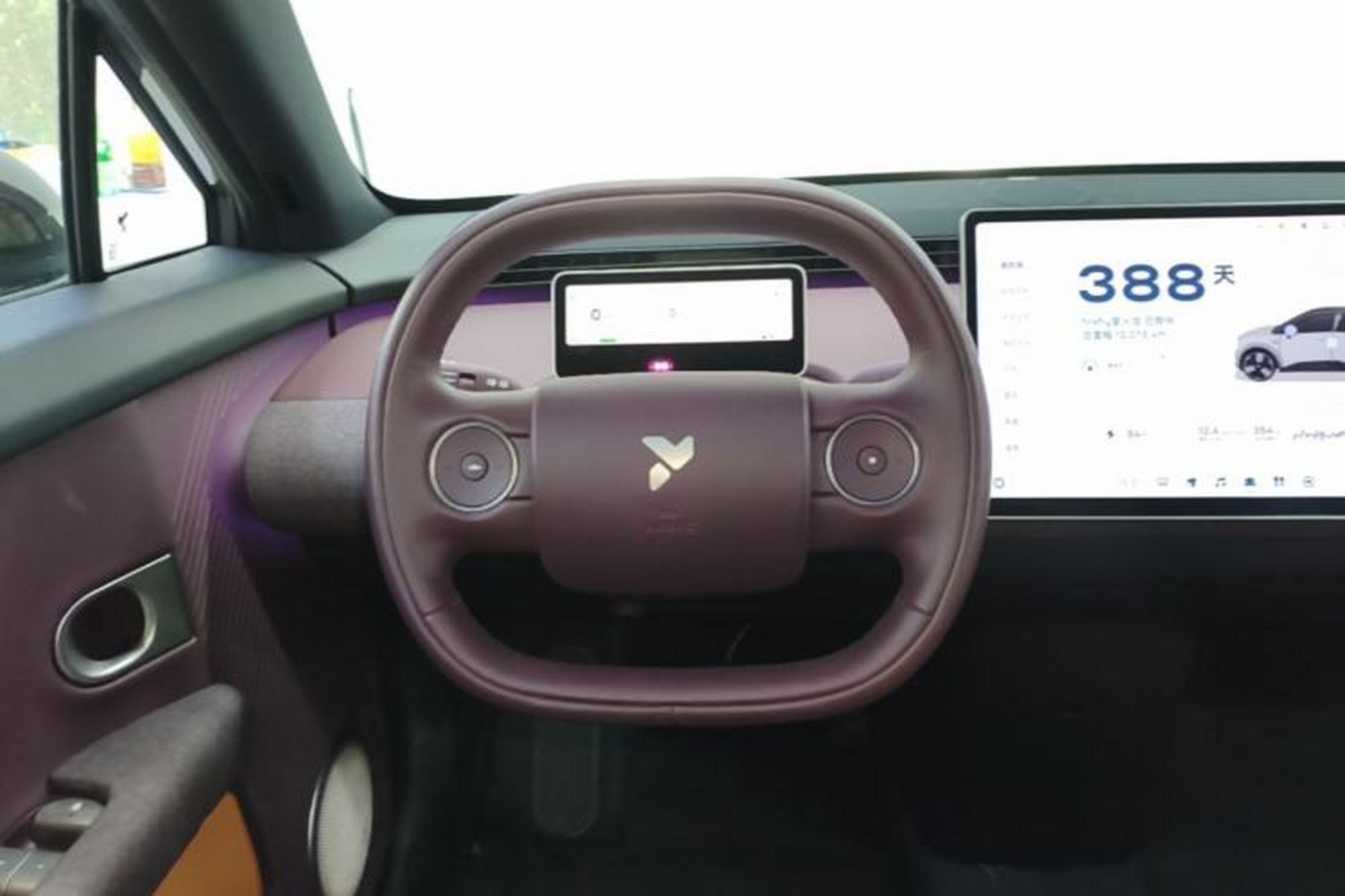 miniatura 13