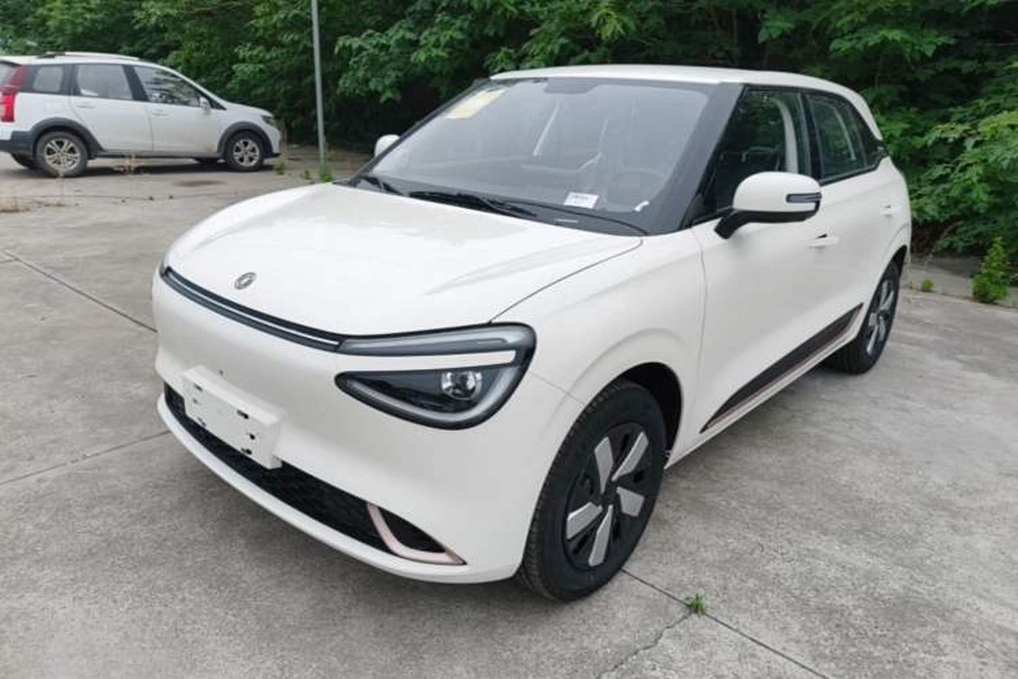 Dongfeng NAMMI 01