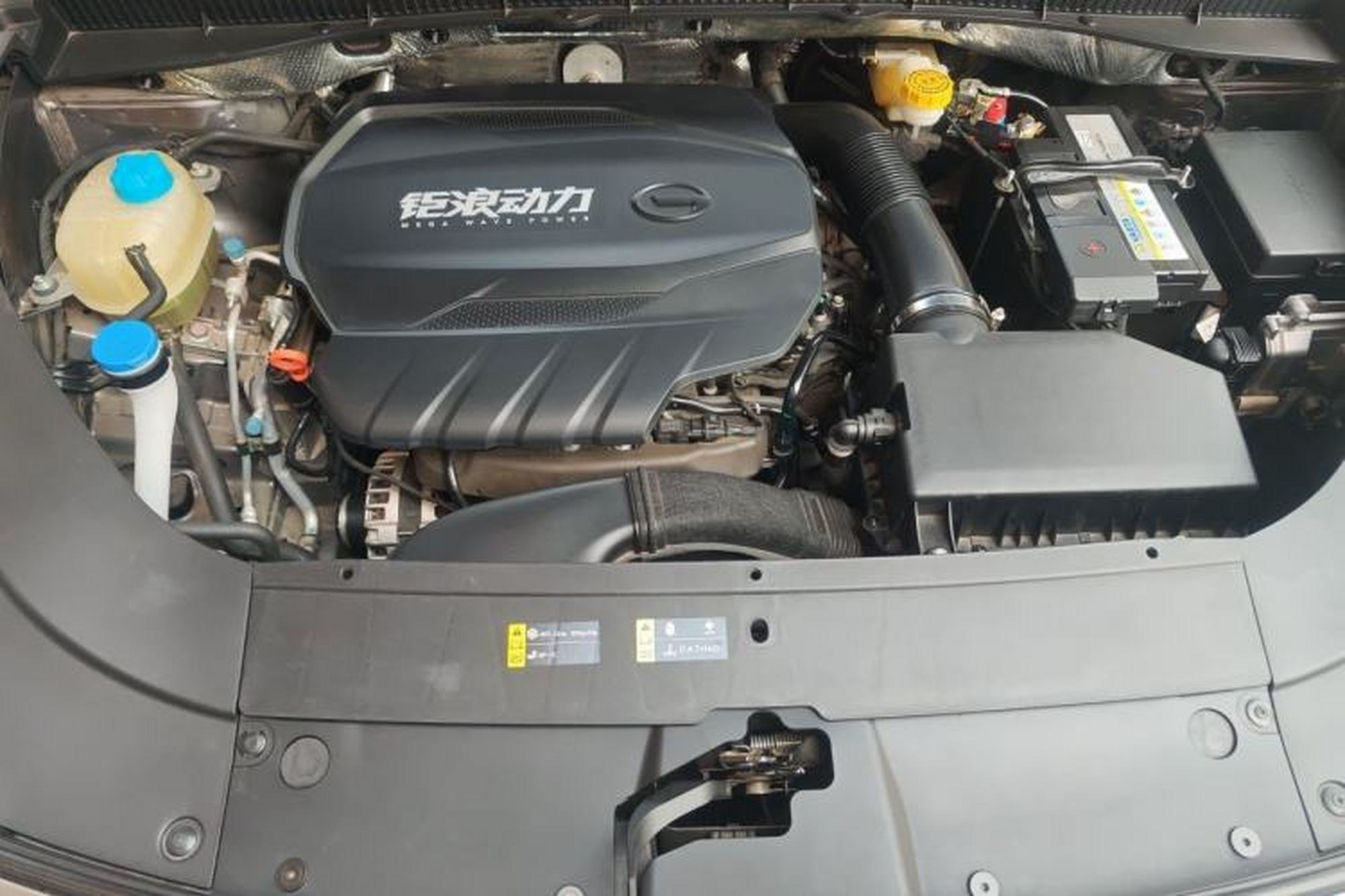 miniatura 21