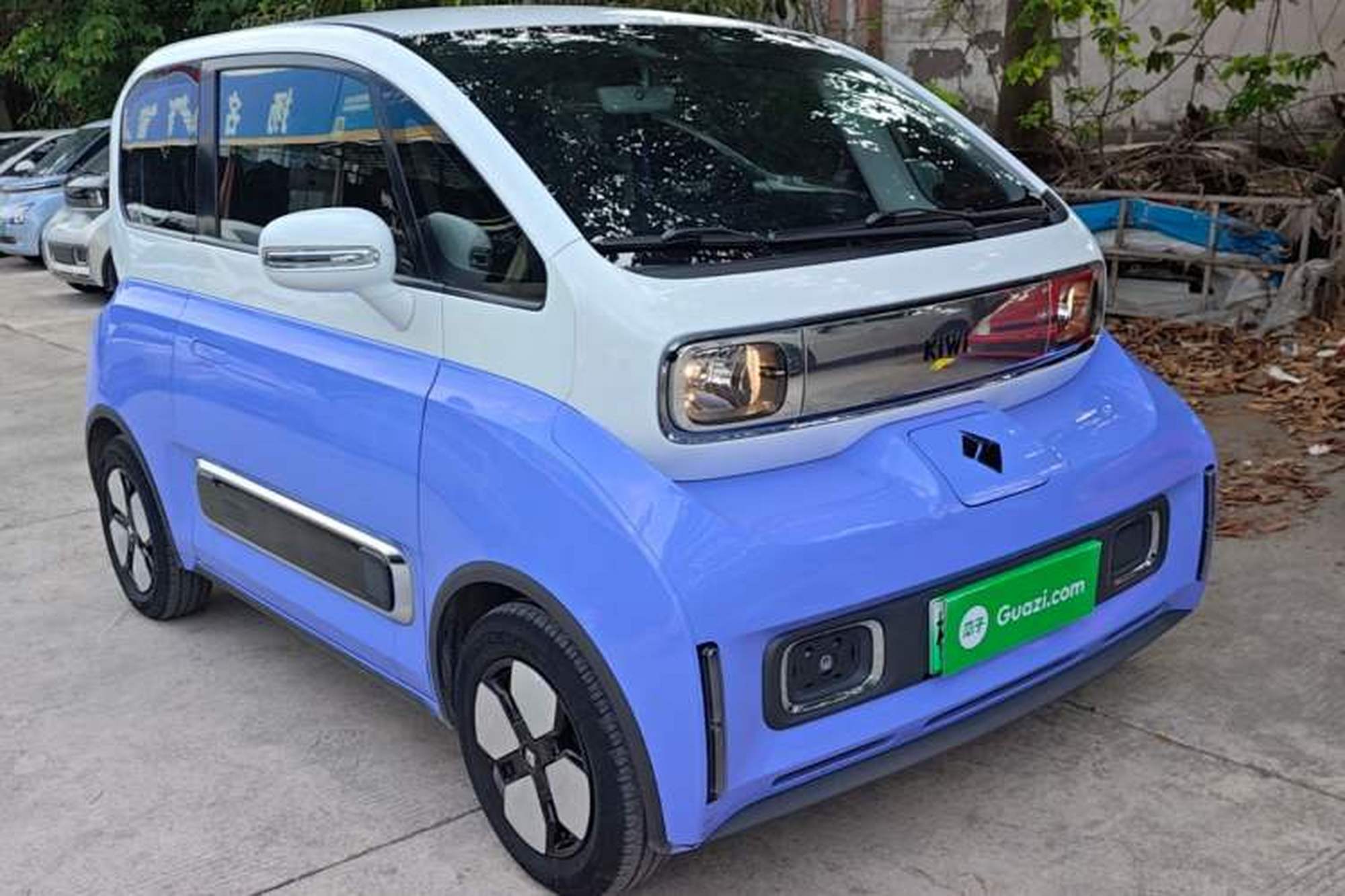 miniatura 3