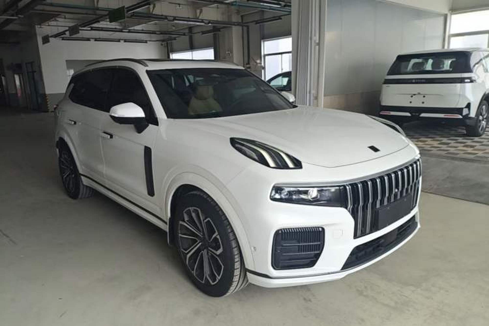 miniatura 12