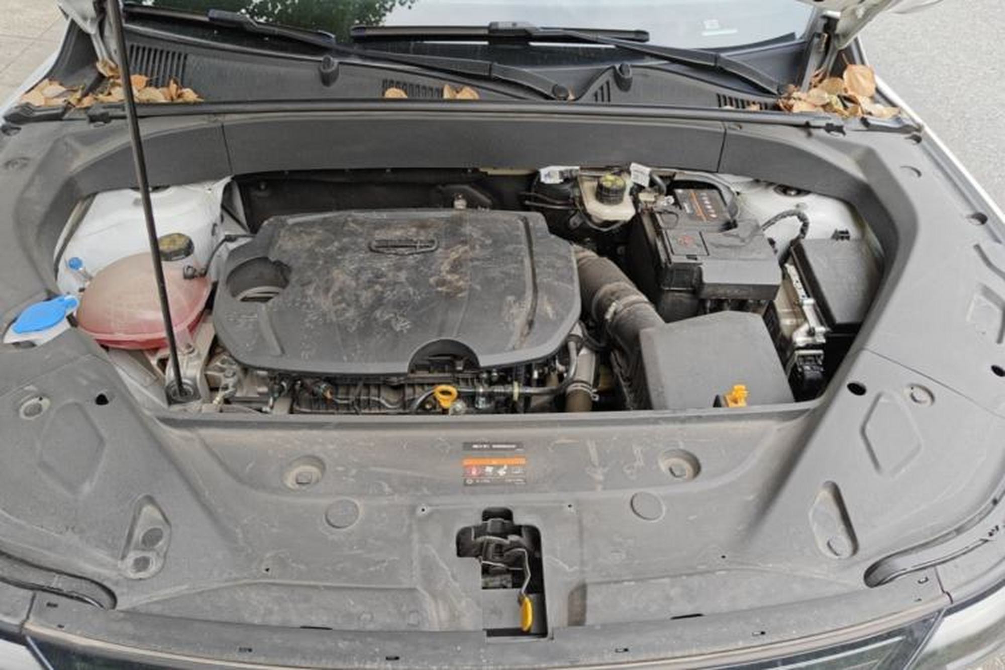 miniatura 21