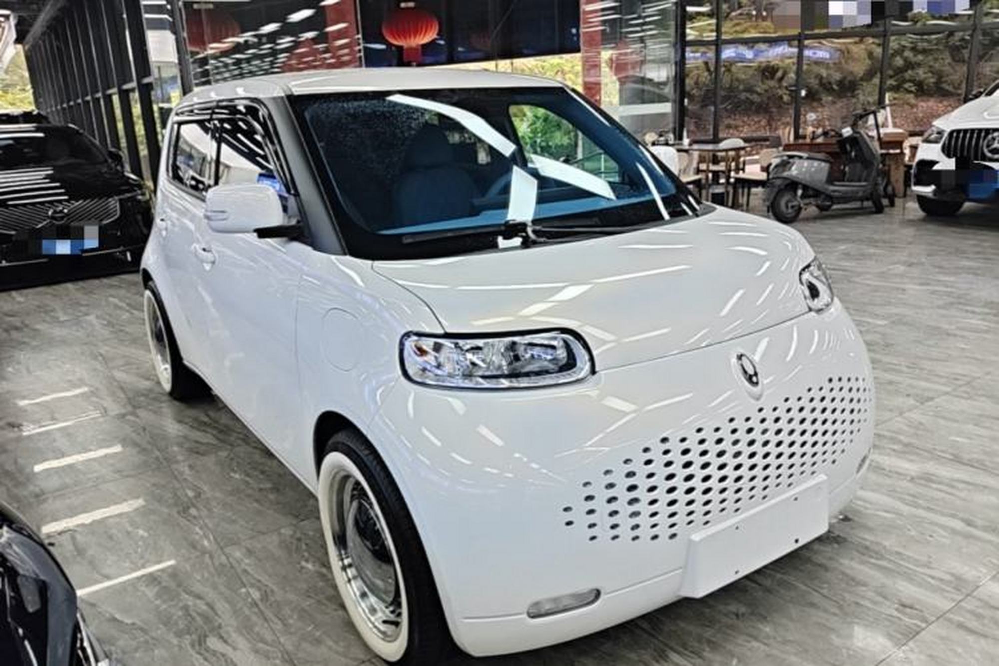 miniatura 12