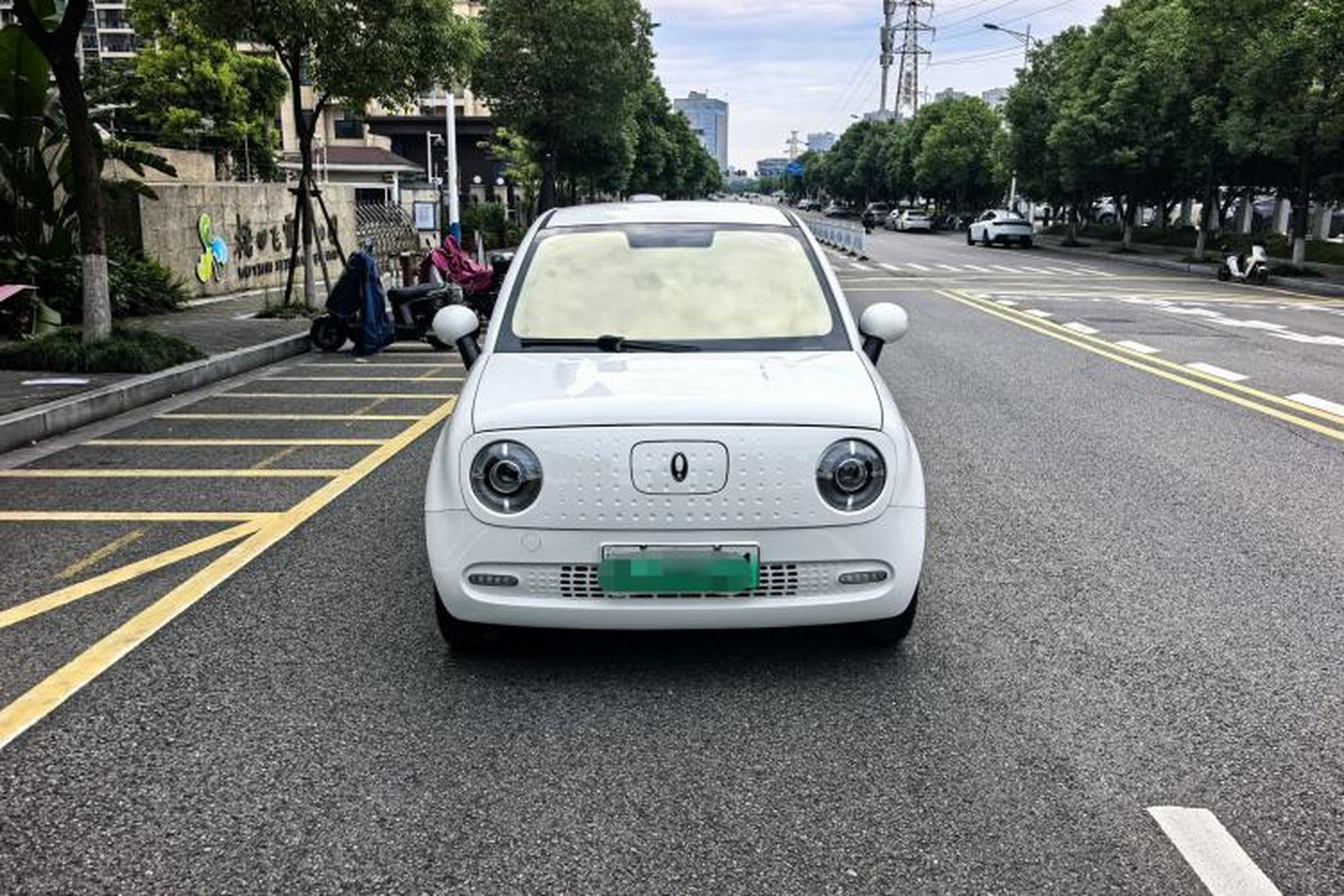 miniatura 13