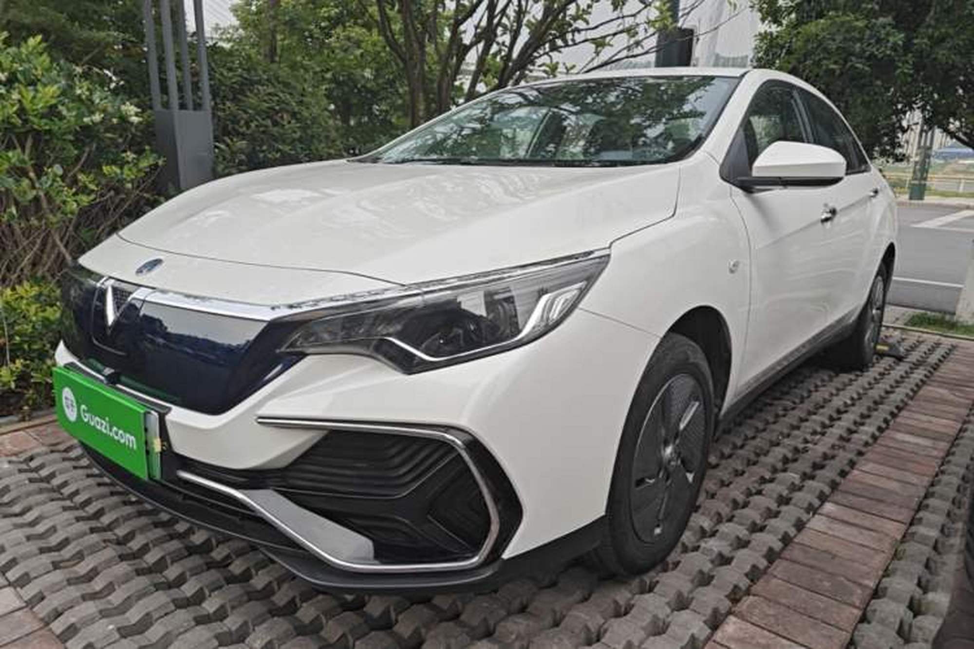 Venucia Venucia D60EV
