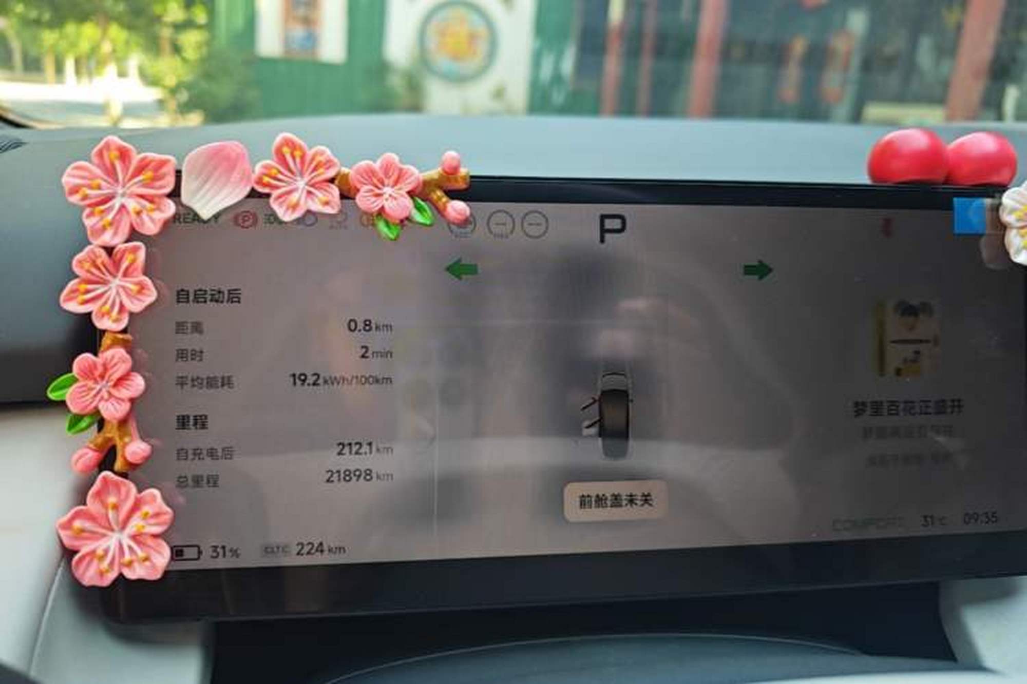 miniatura 19