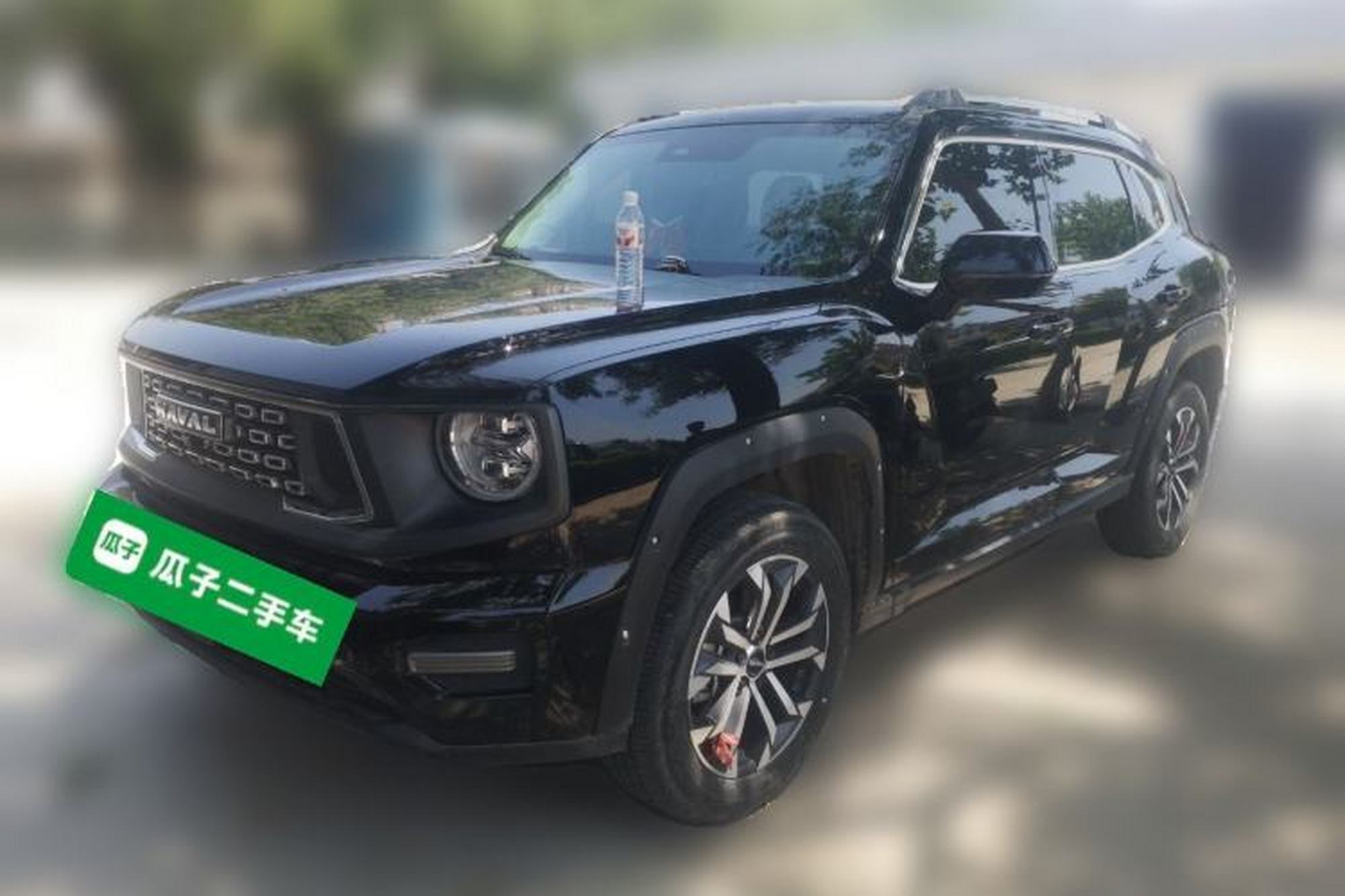 Haval H Dog