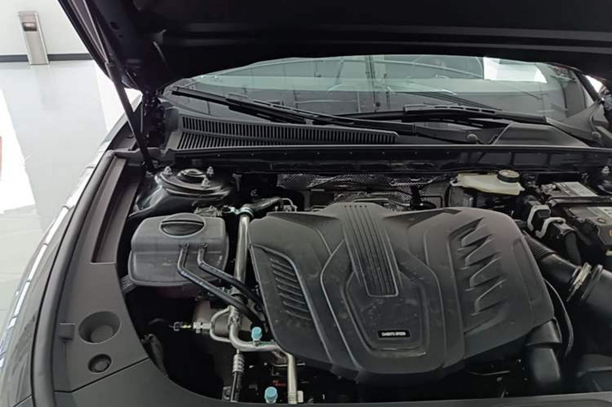 miniatura 23