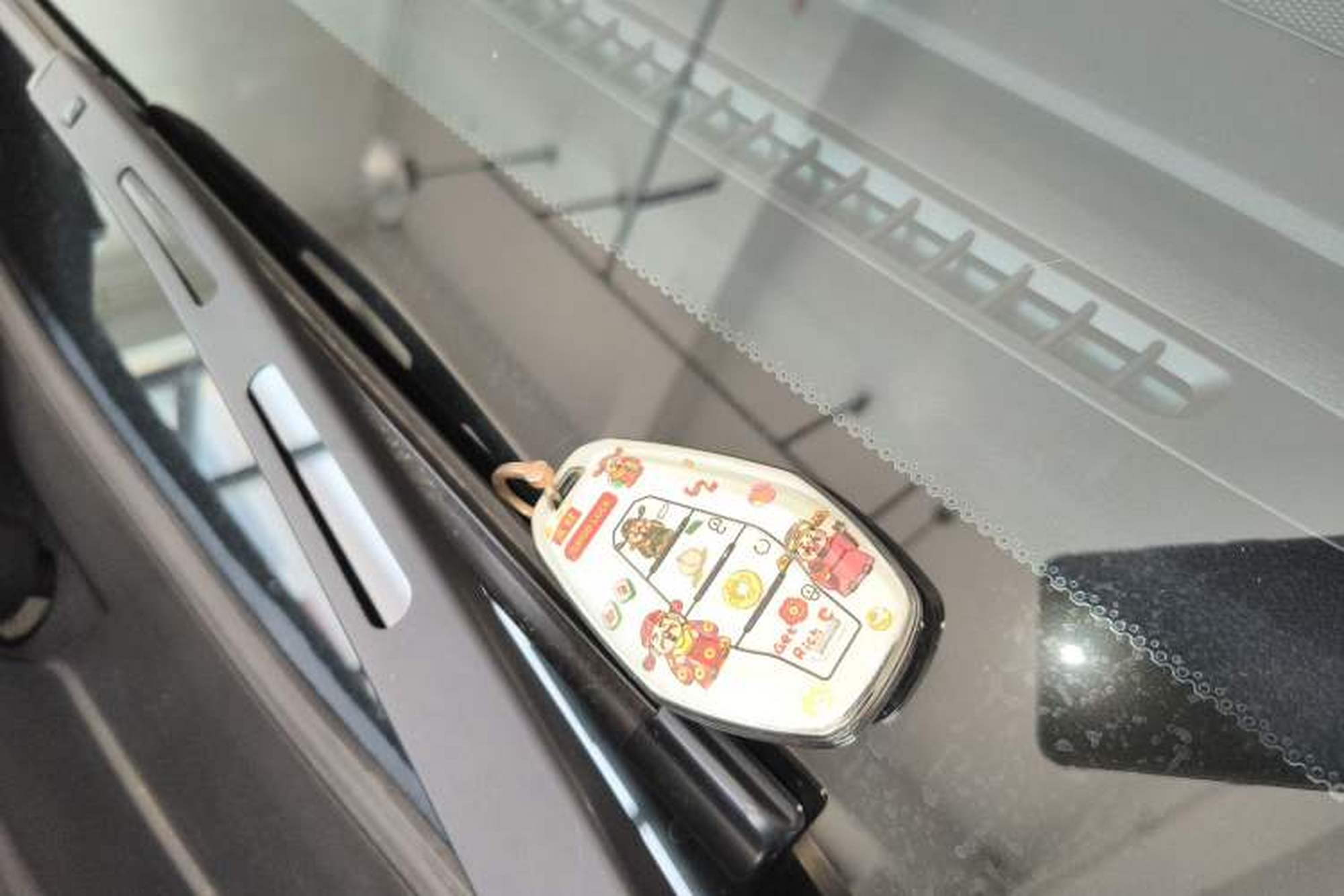 miniatura 23