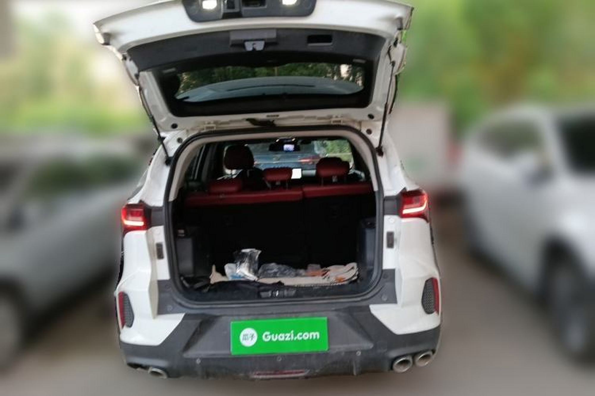 miniatura 19