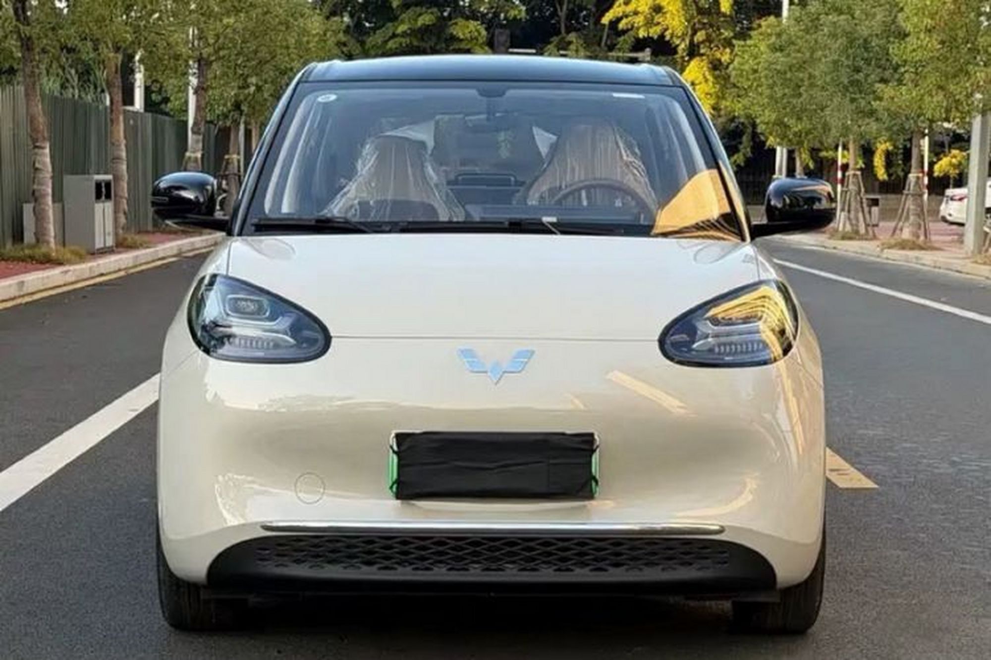 miniatura 16
