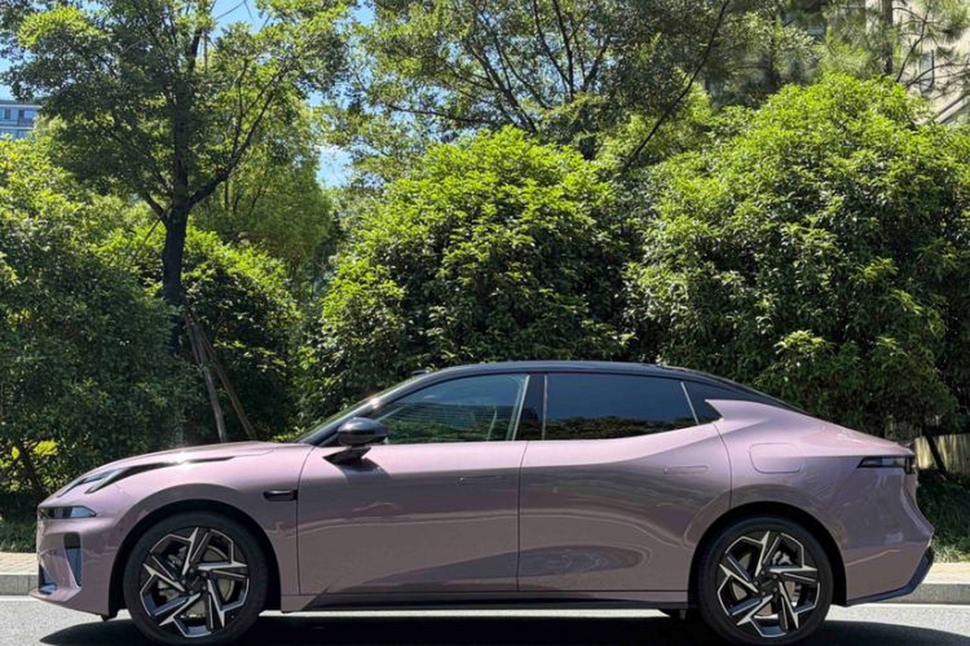 miniatura 13