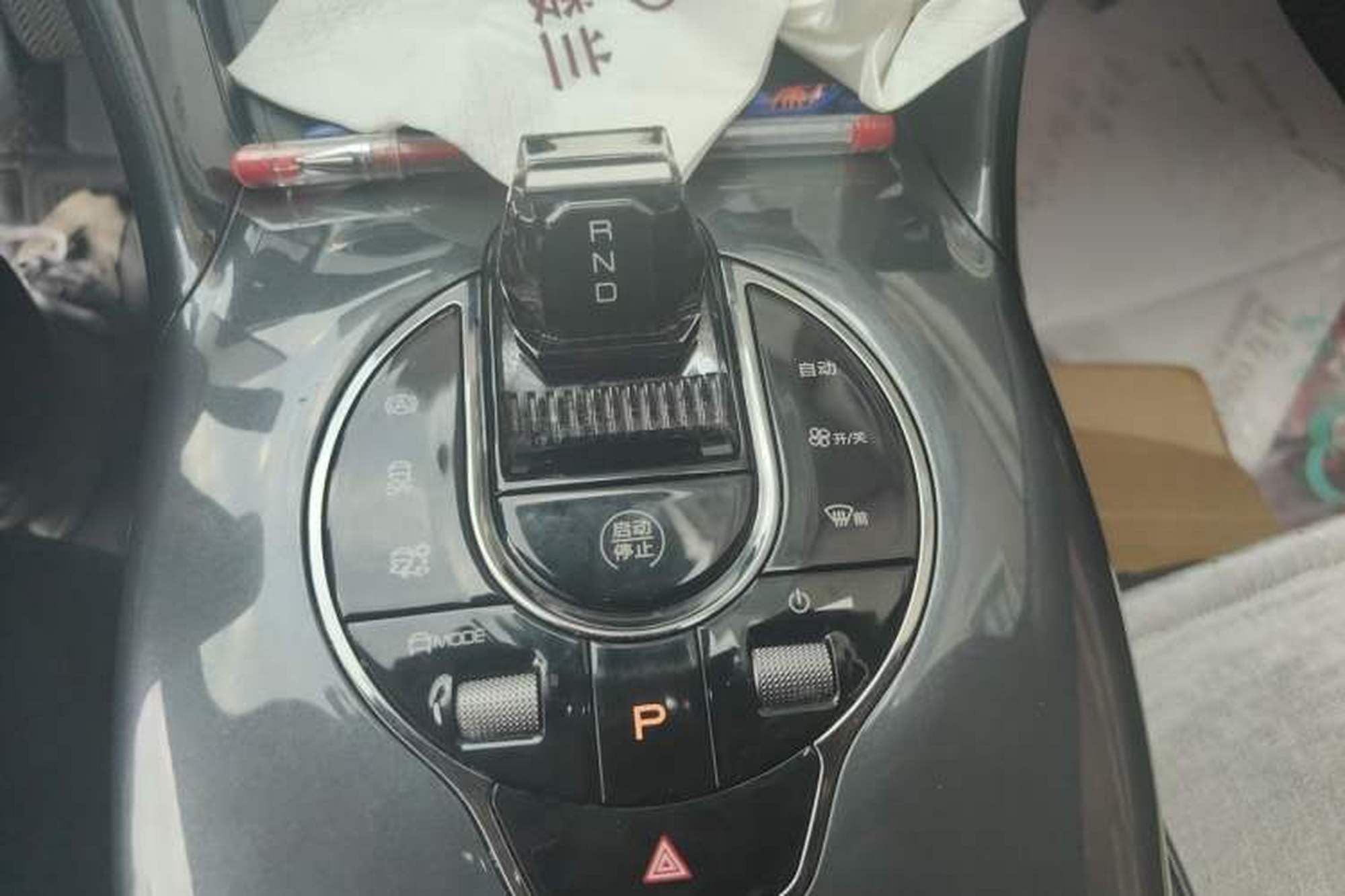 miniatura 14