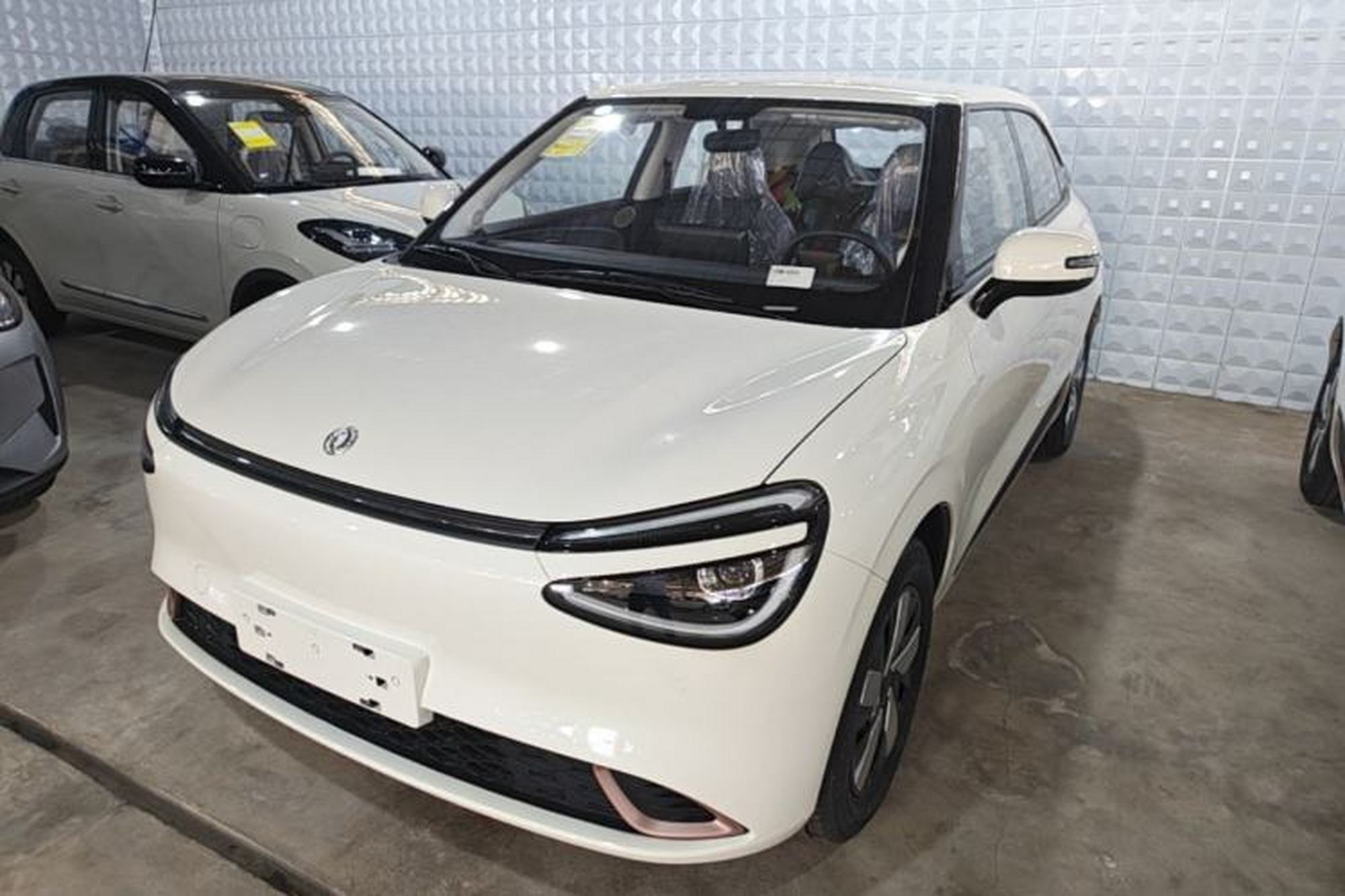 Dongfeng NAMMI 01