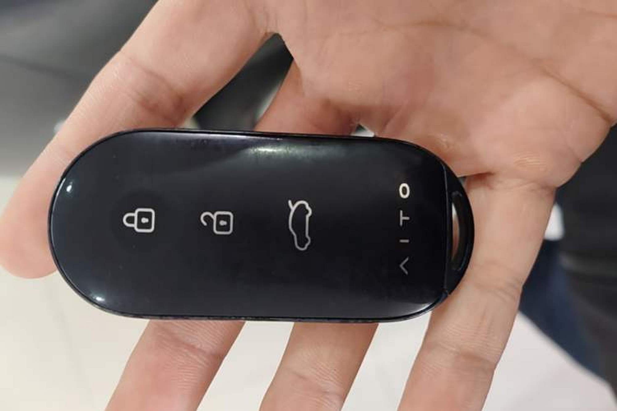 miniatura 23