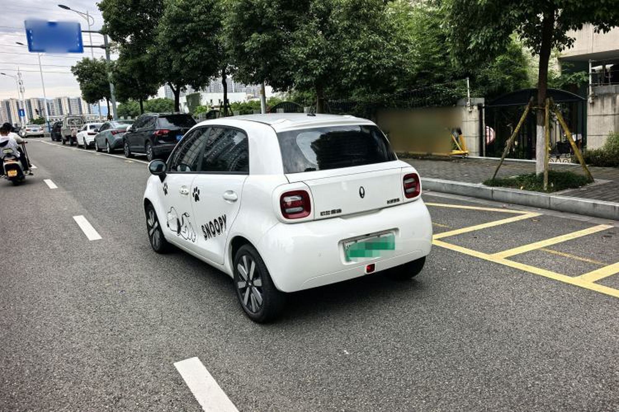 miniatura 15