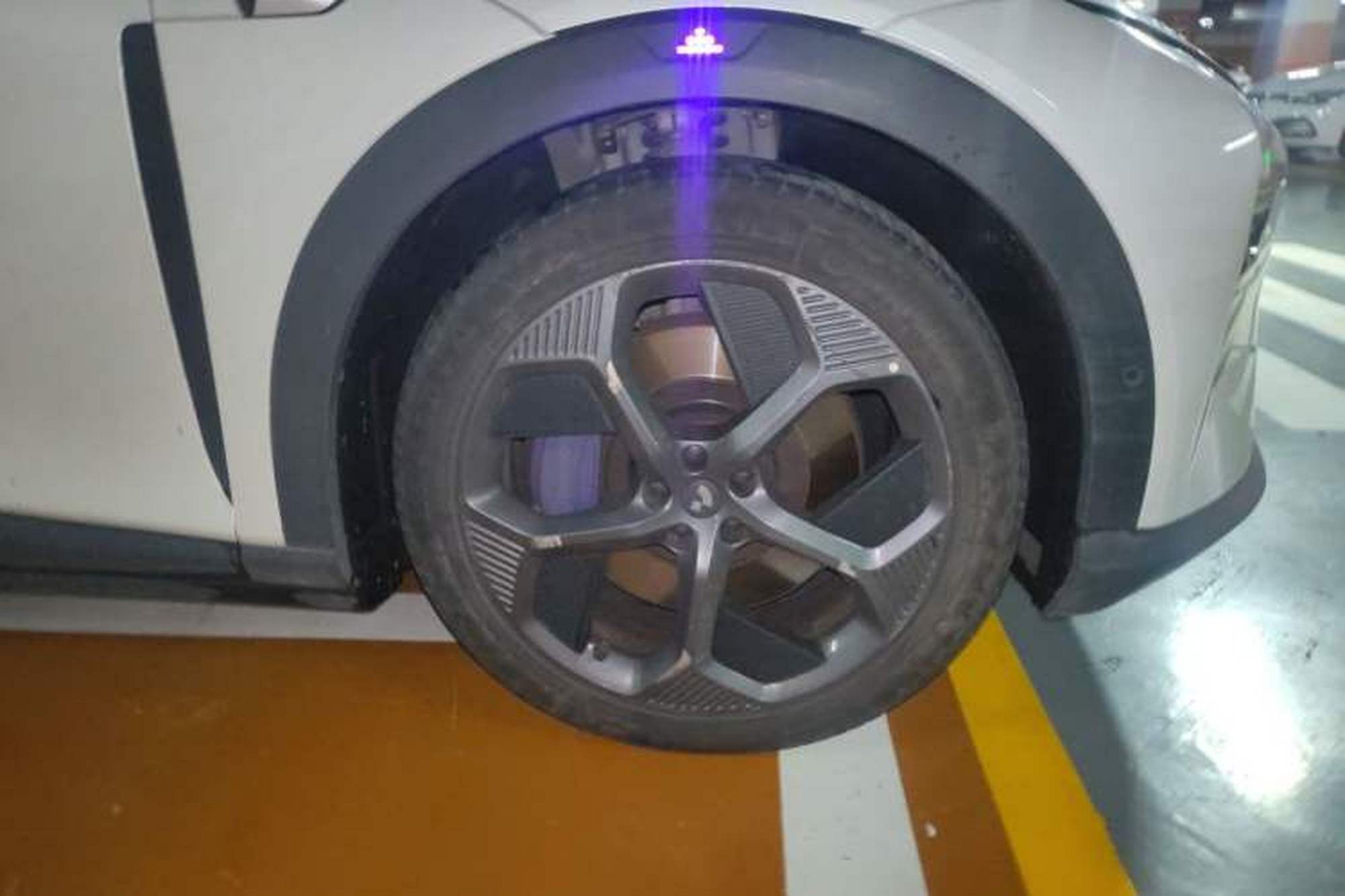 miniatura 8
