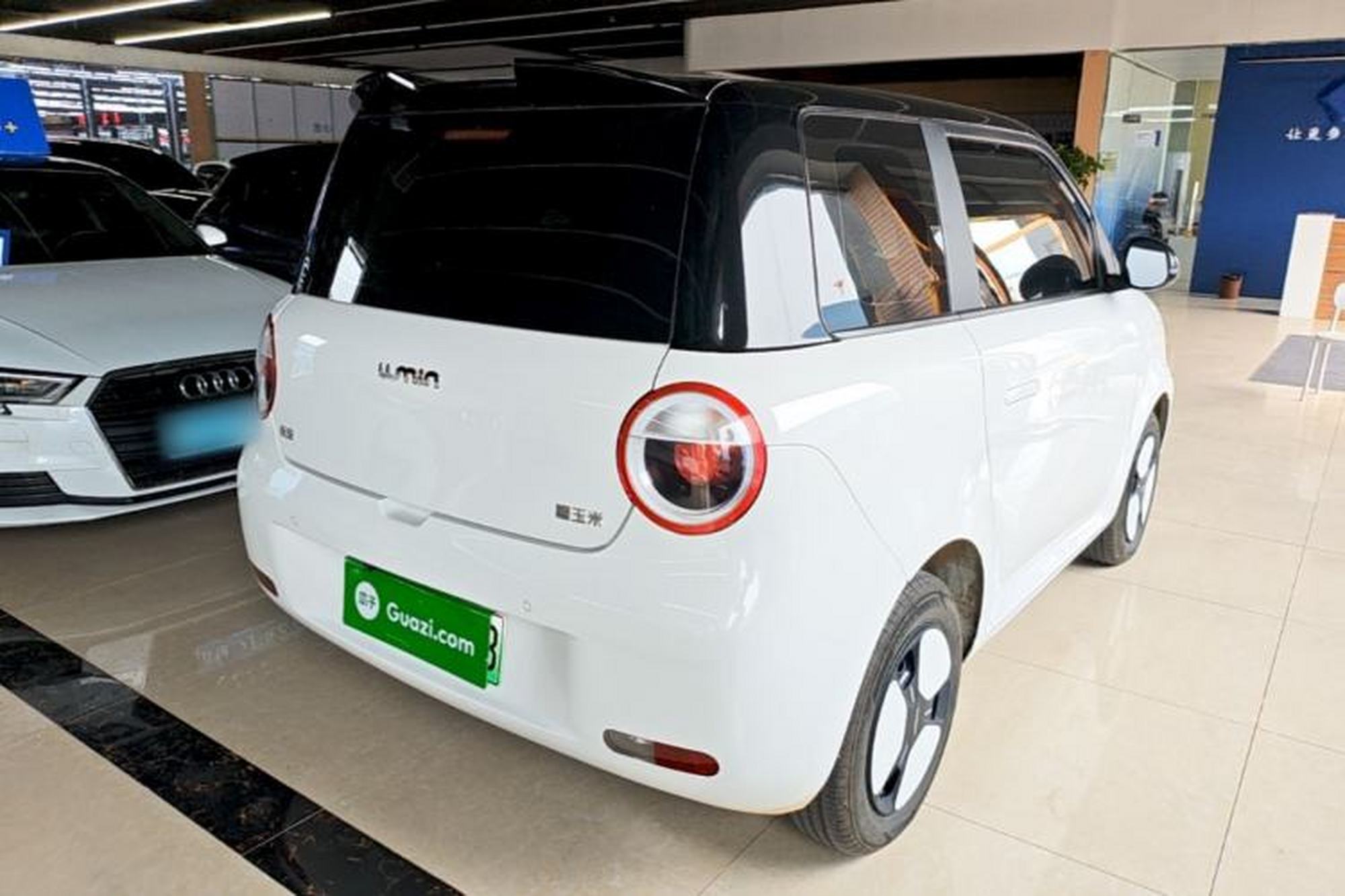 miniatura 6