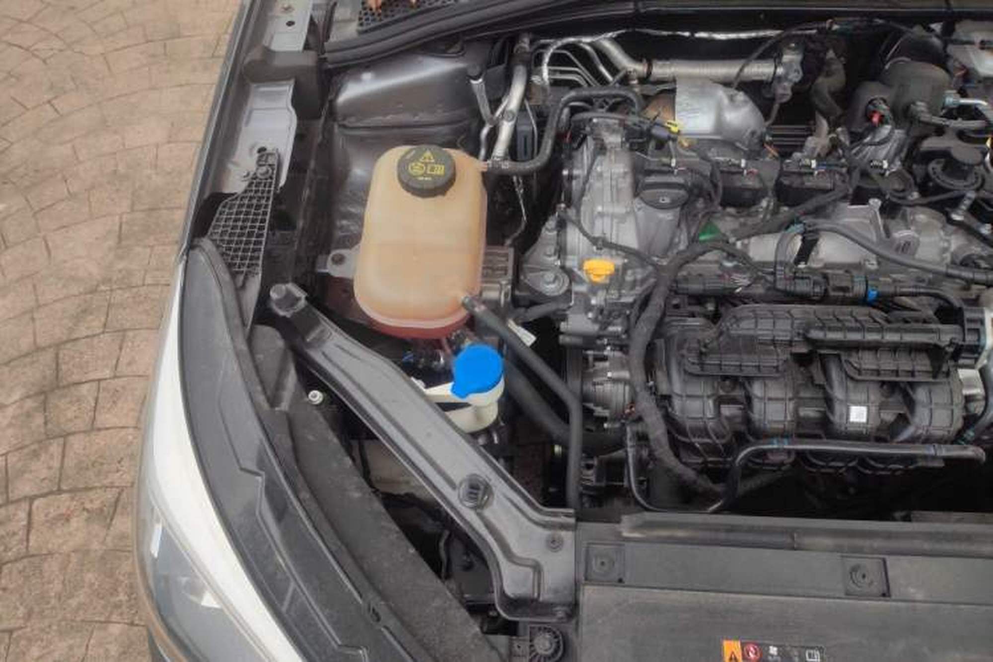 miniatura 23