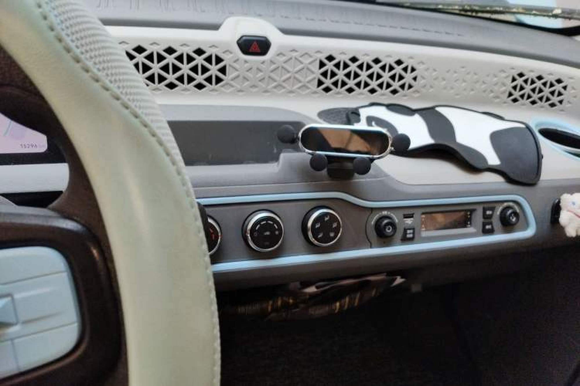 miniatura 13