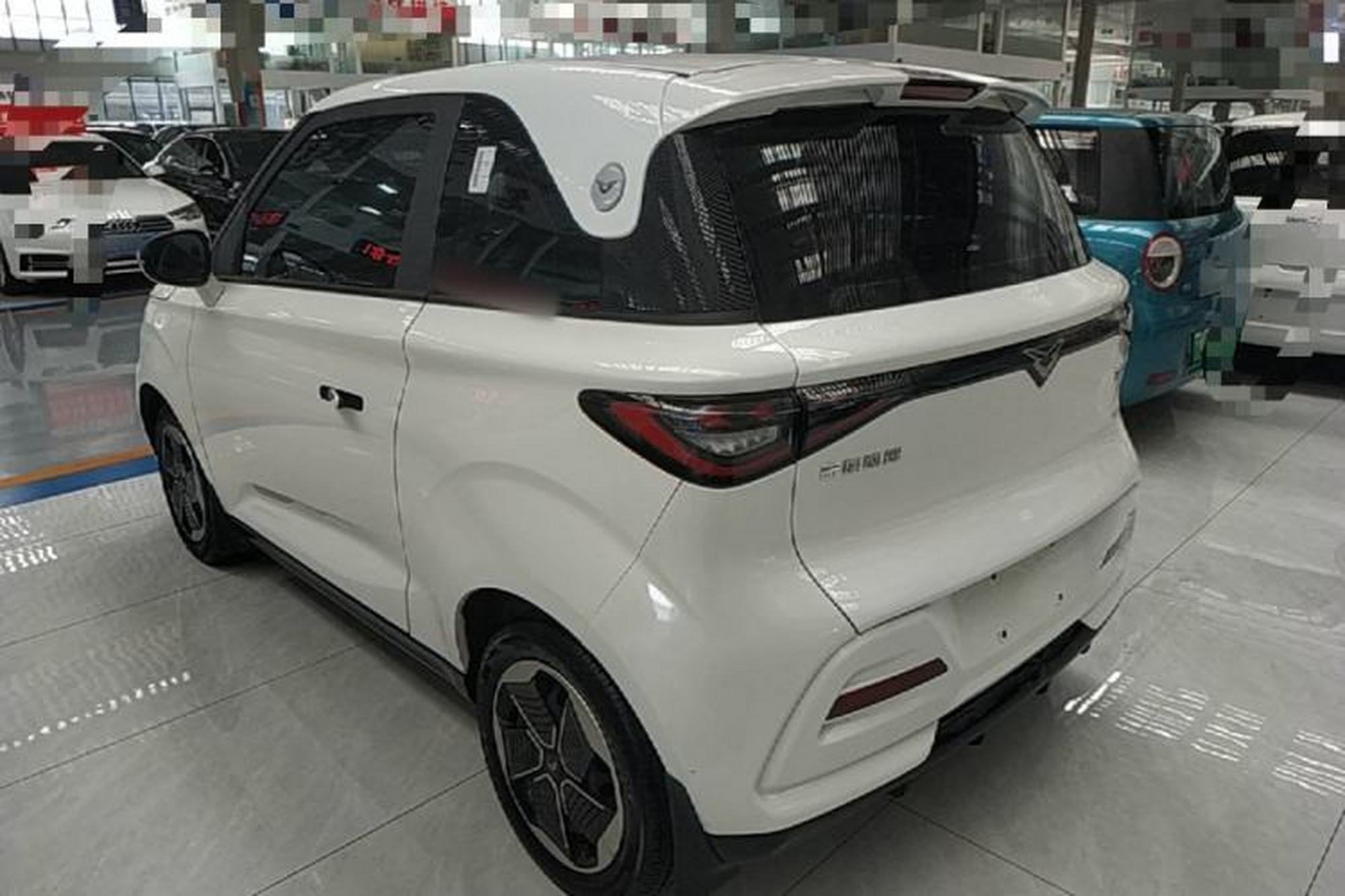 miniatura 13