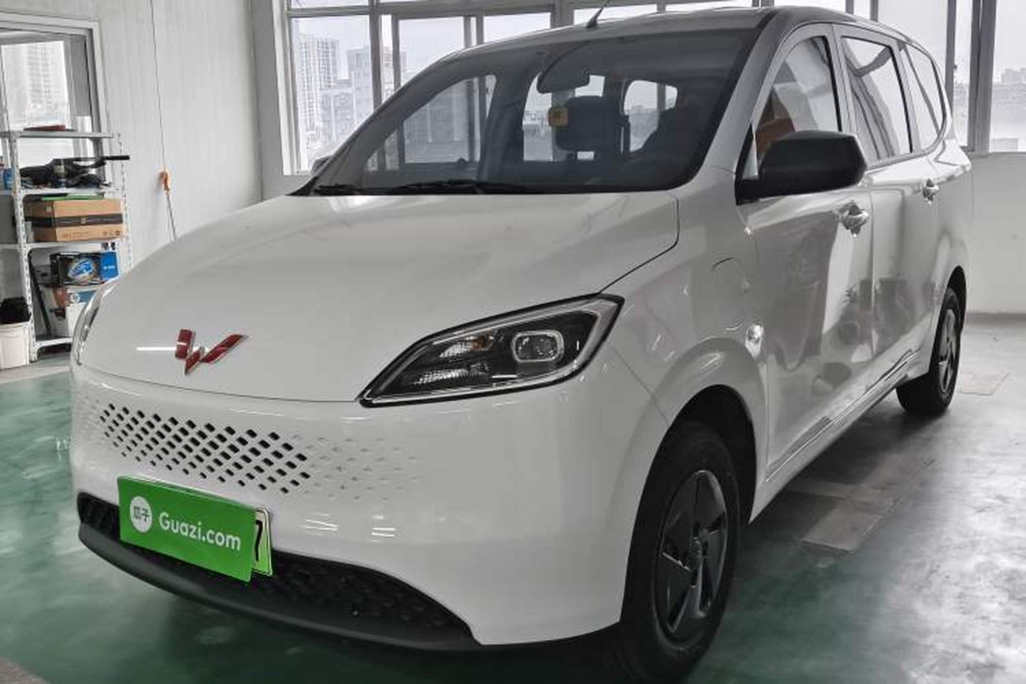 WuLing Hongguang New Energy