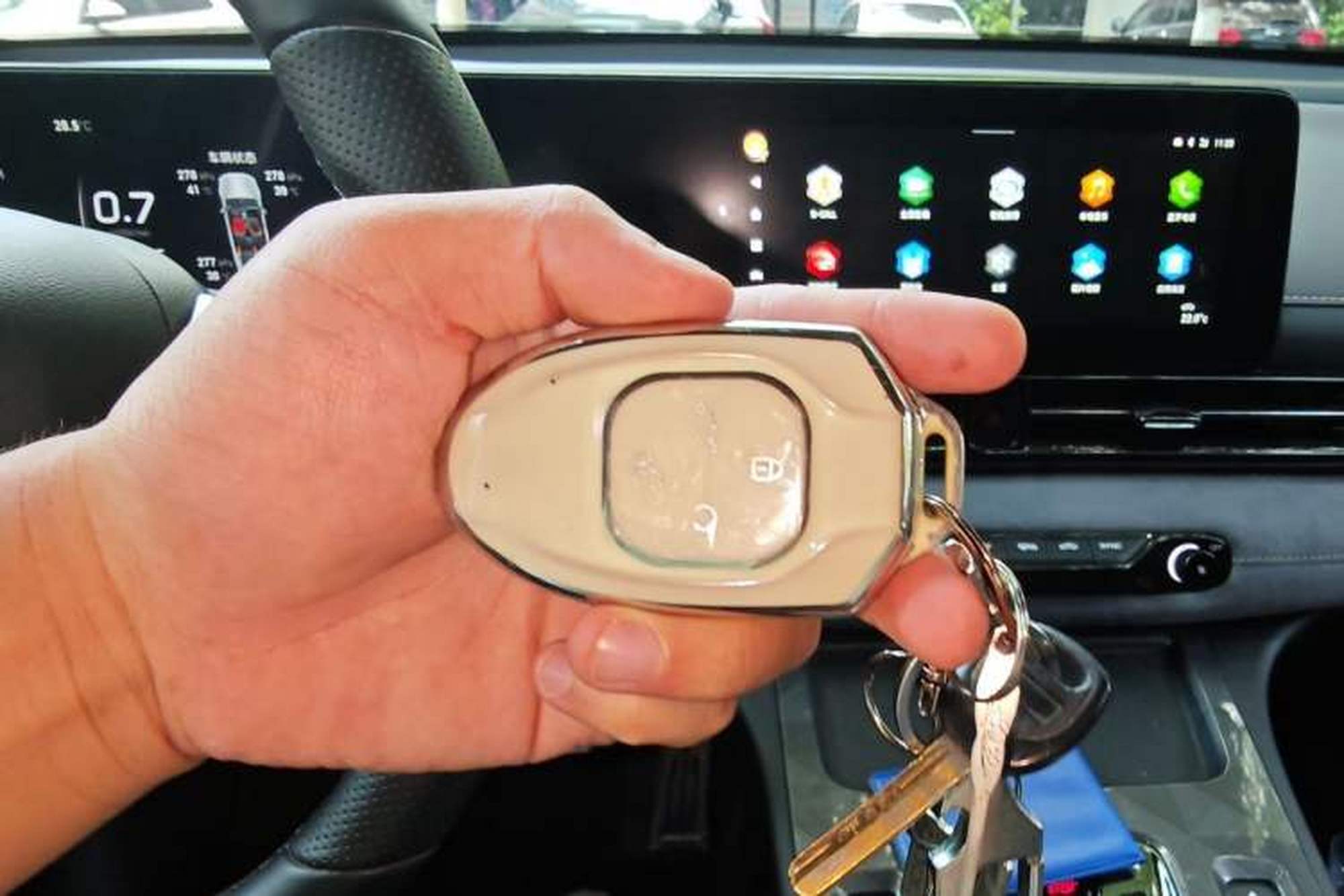 miniatura 17