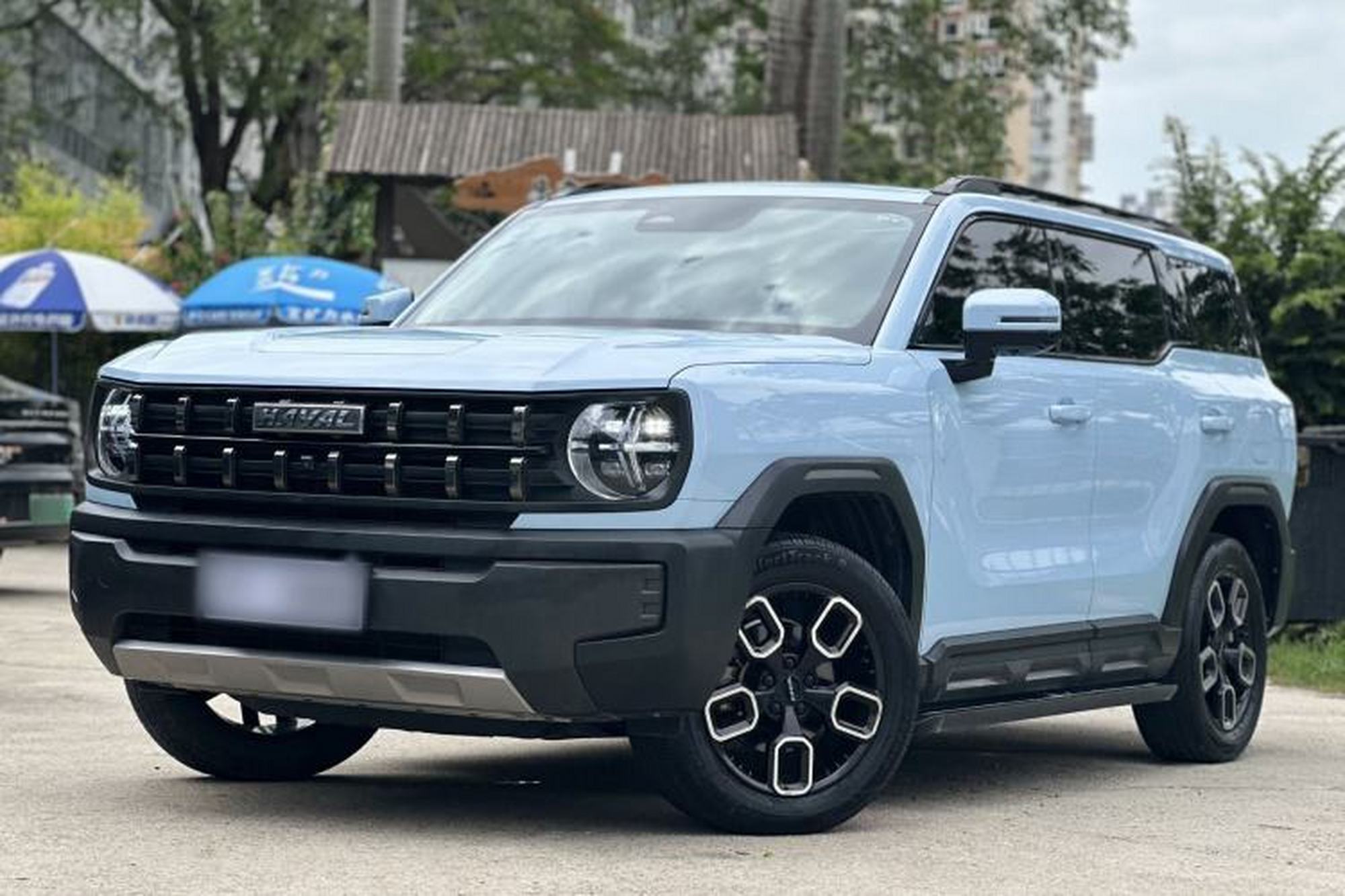 Haval X DOG