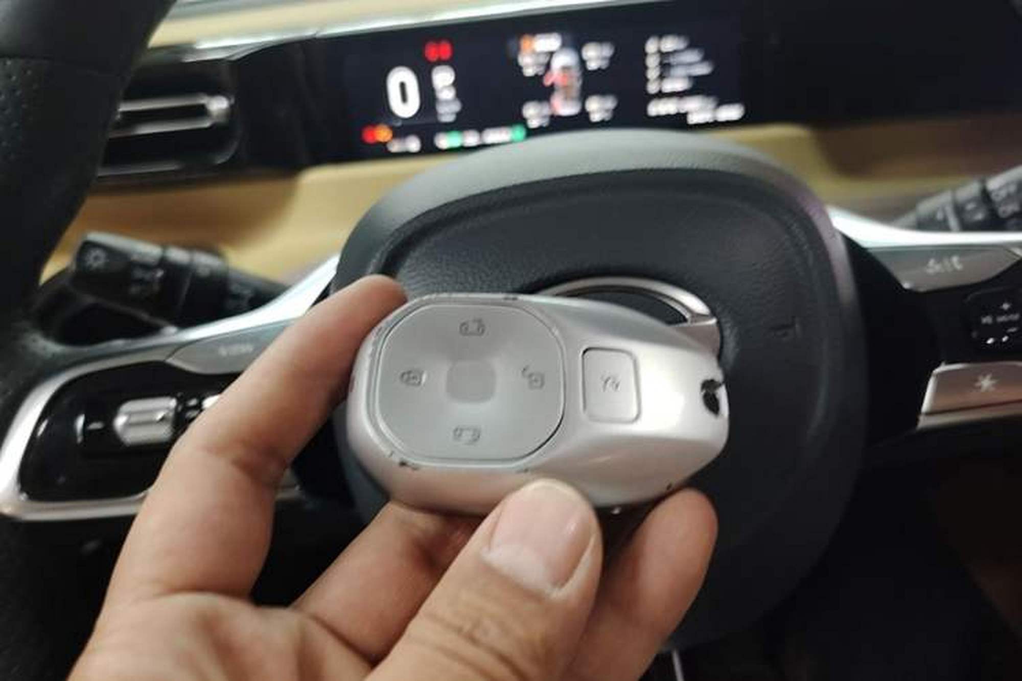 miniatura 23