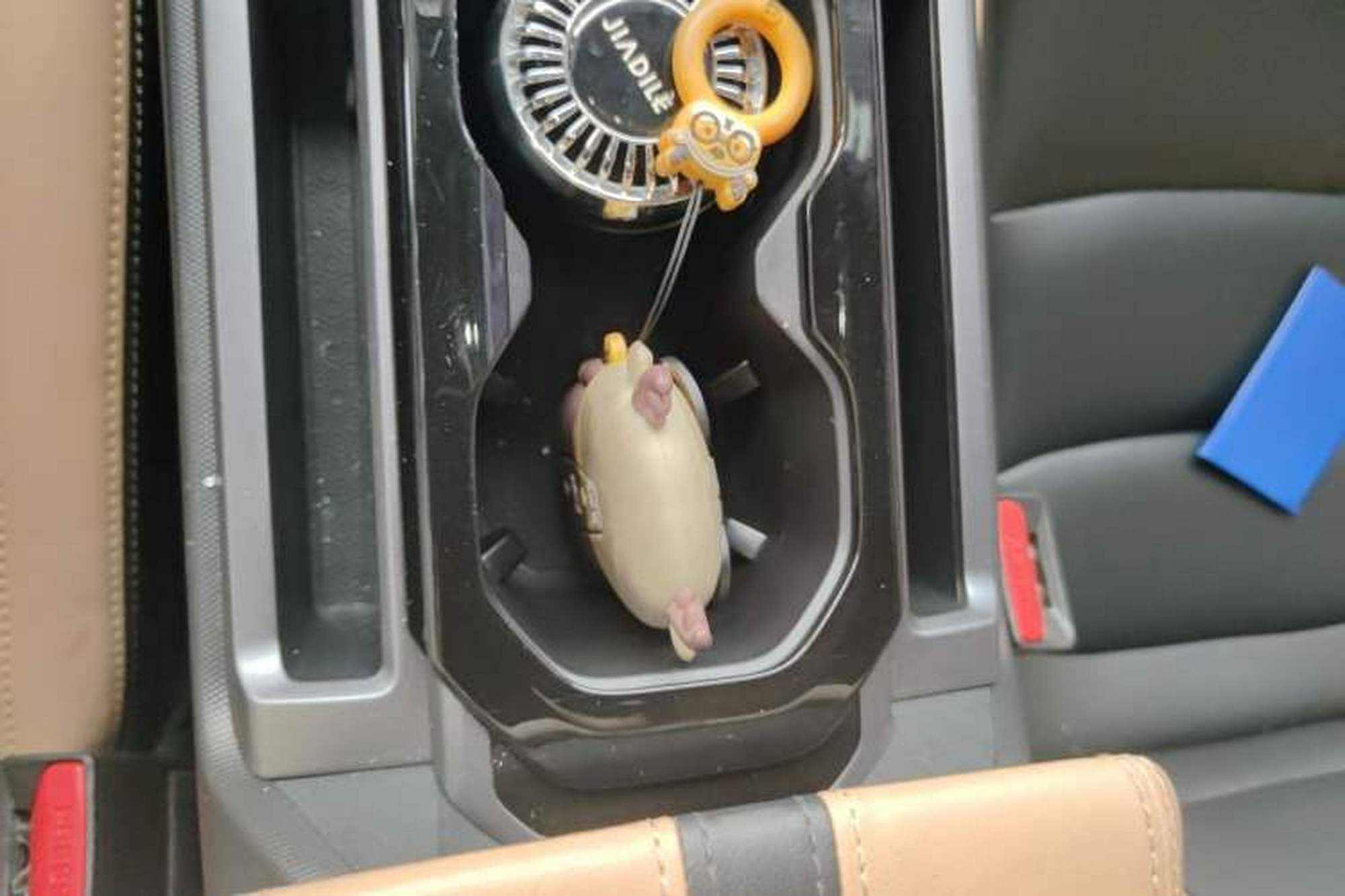miniatura 20