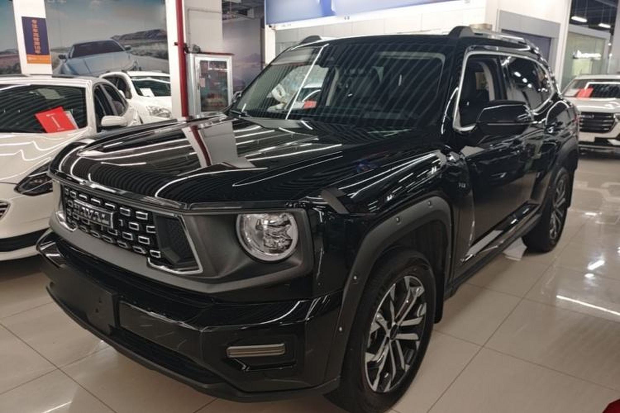 Haval H Dog
