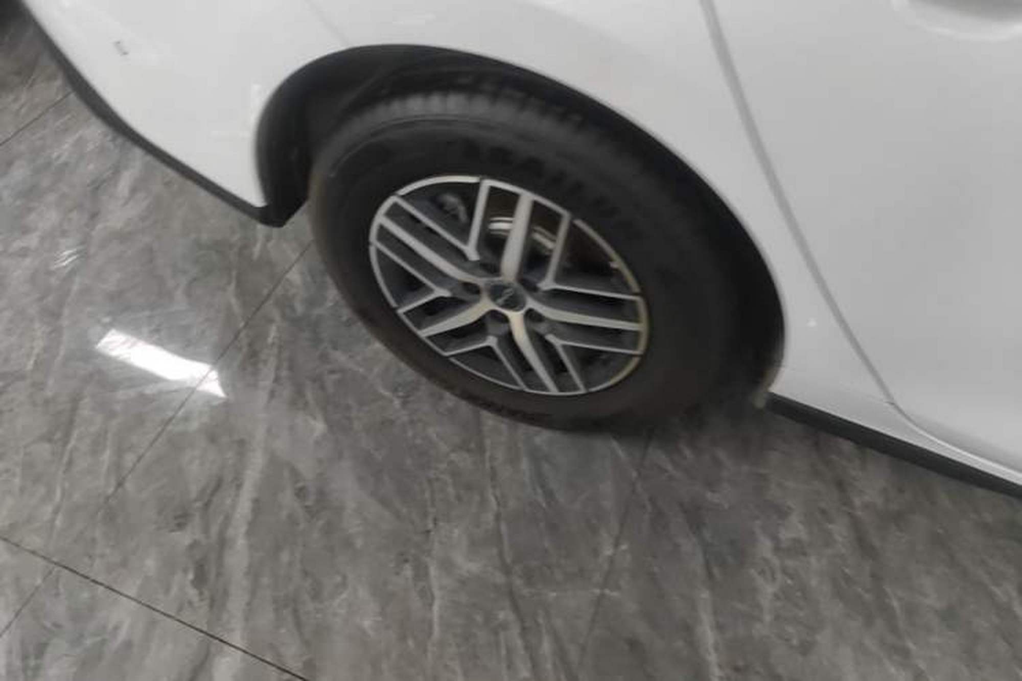 miniatura 11