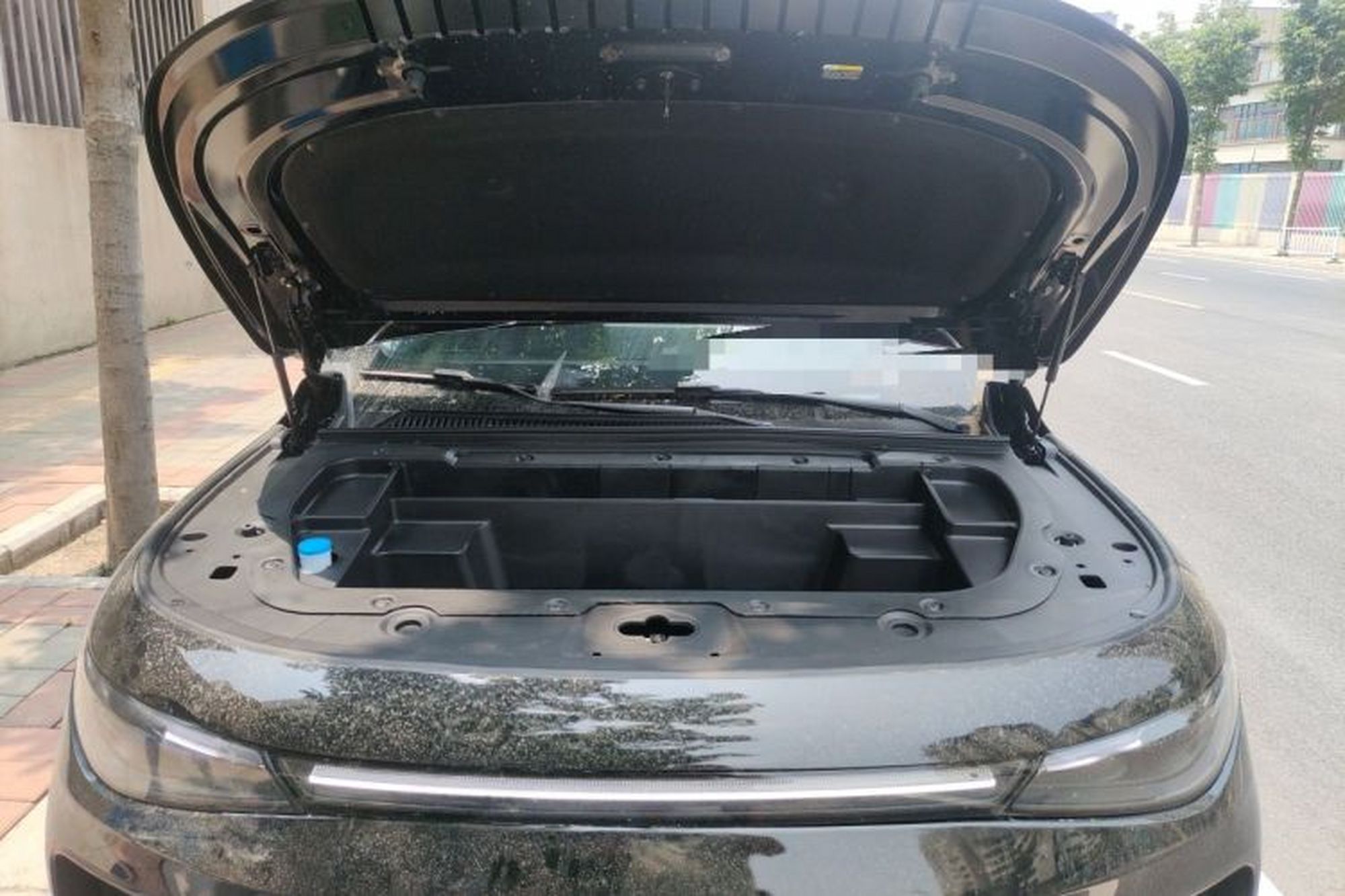 miniatura 21