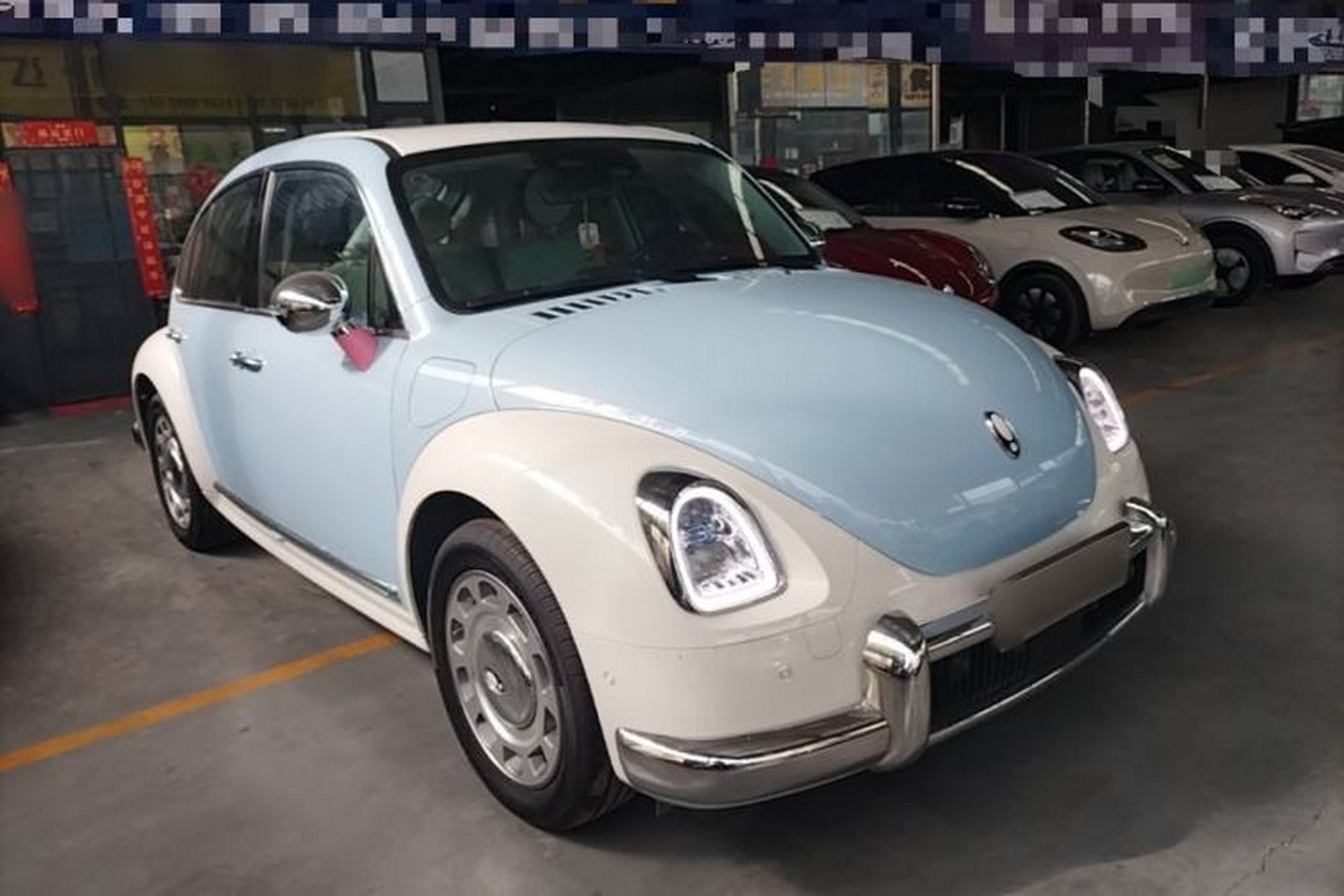 miniatura 7