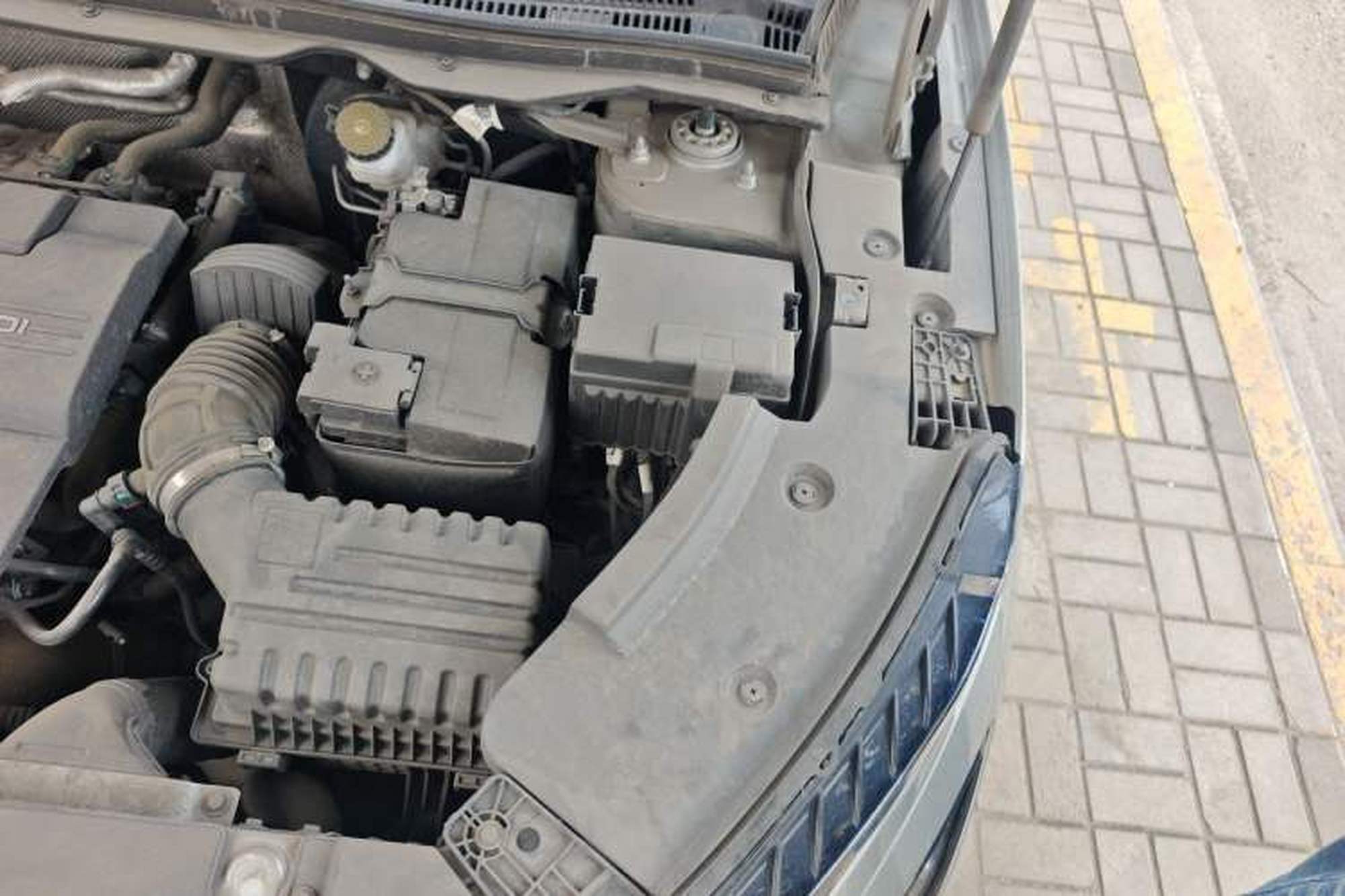 miniatura 22