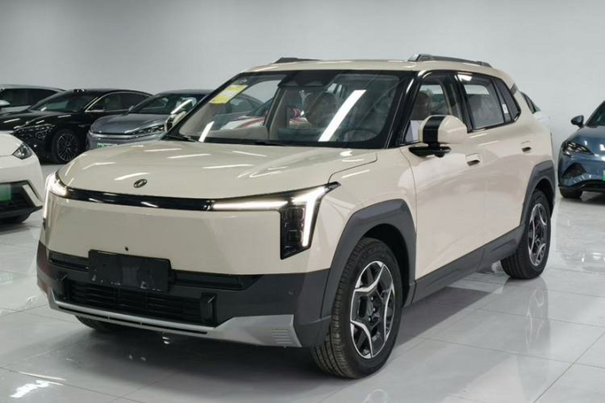 Dongfeng NAMMI 06