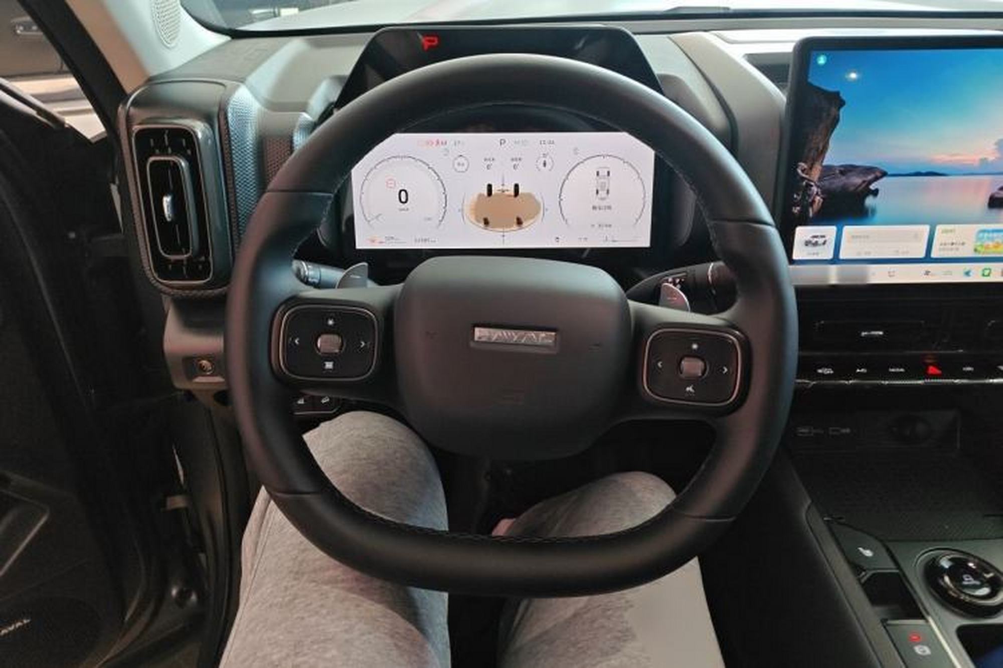 miniatura 10