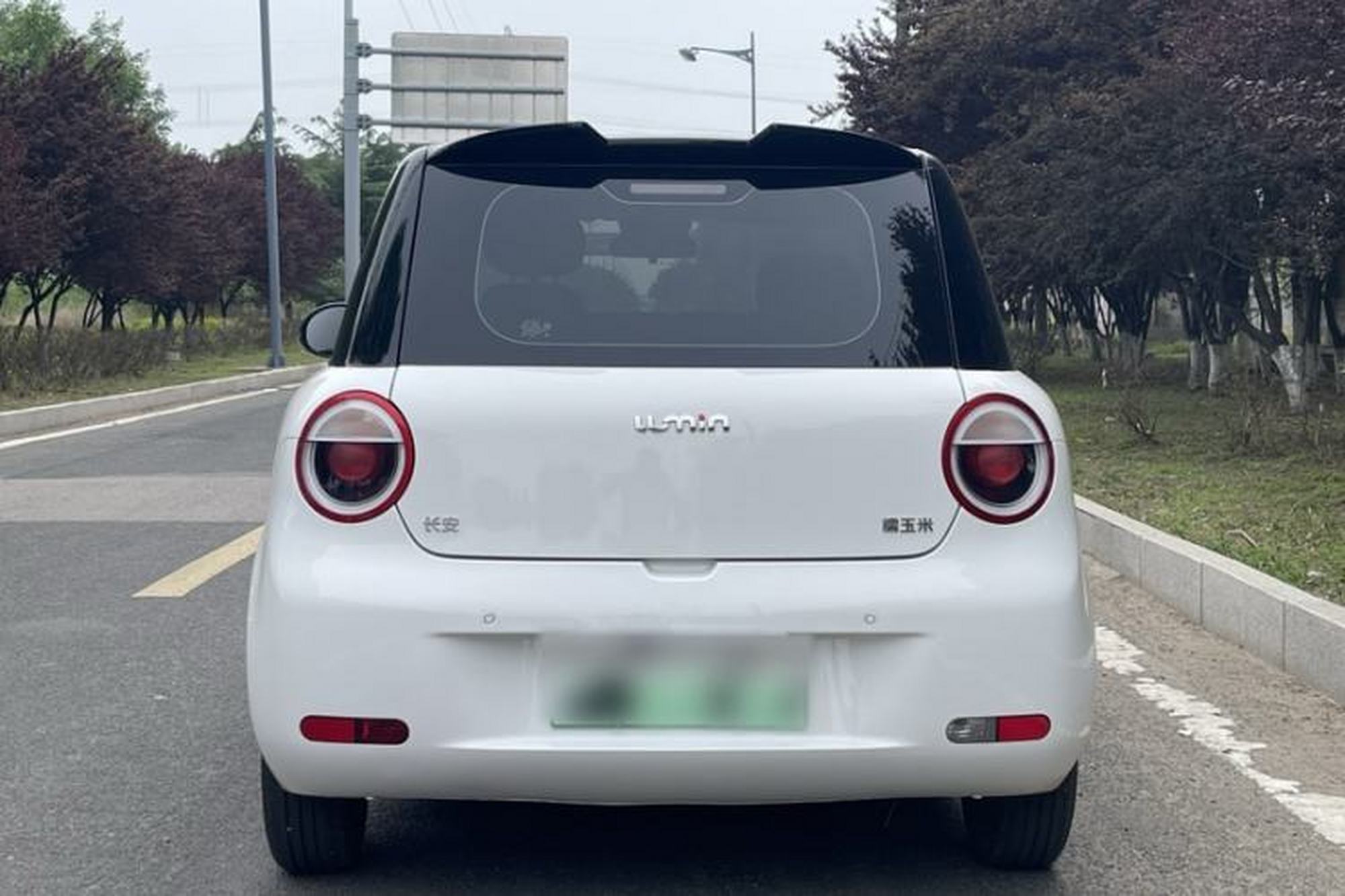 miniatura 14