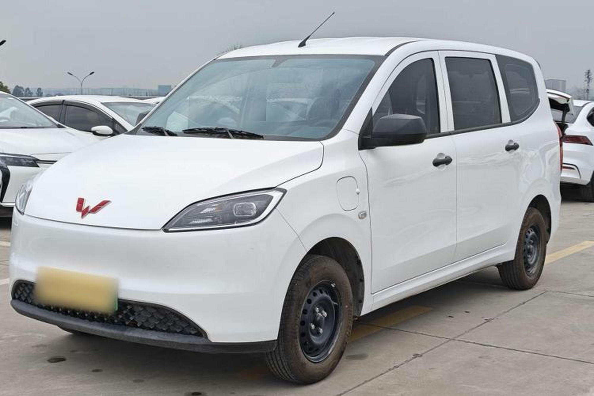 WuLing Hongguang New Energy