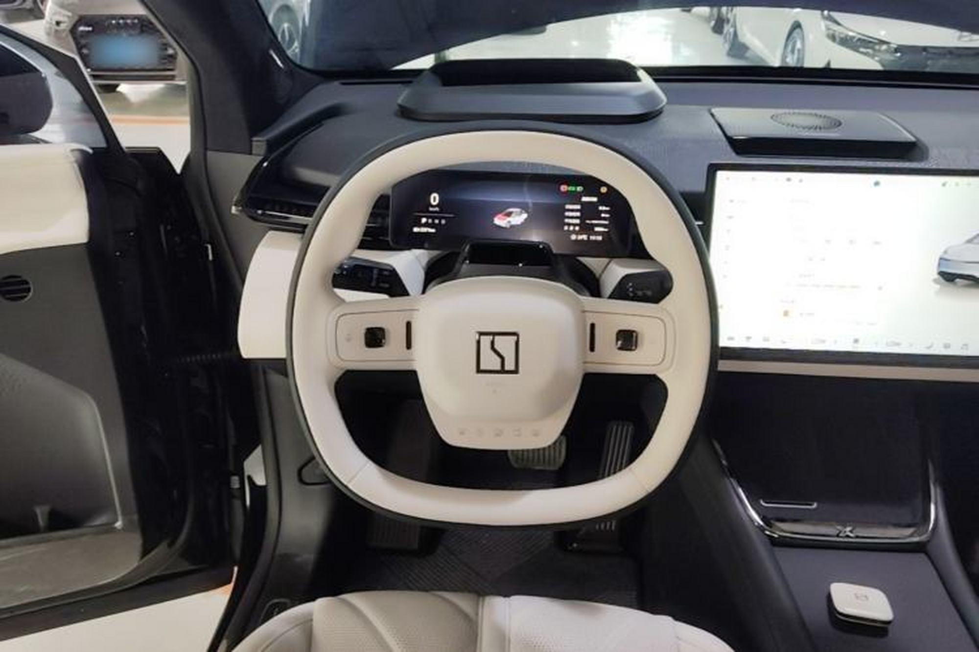 miniatura 13