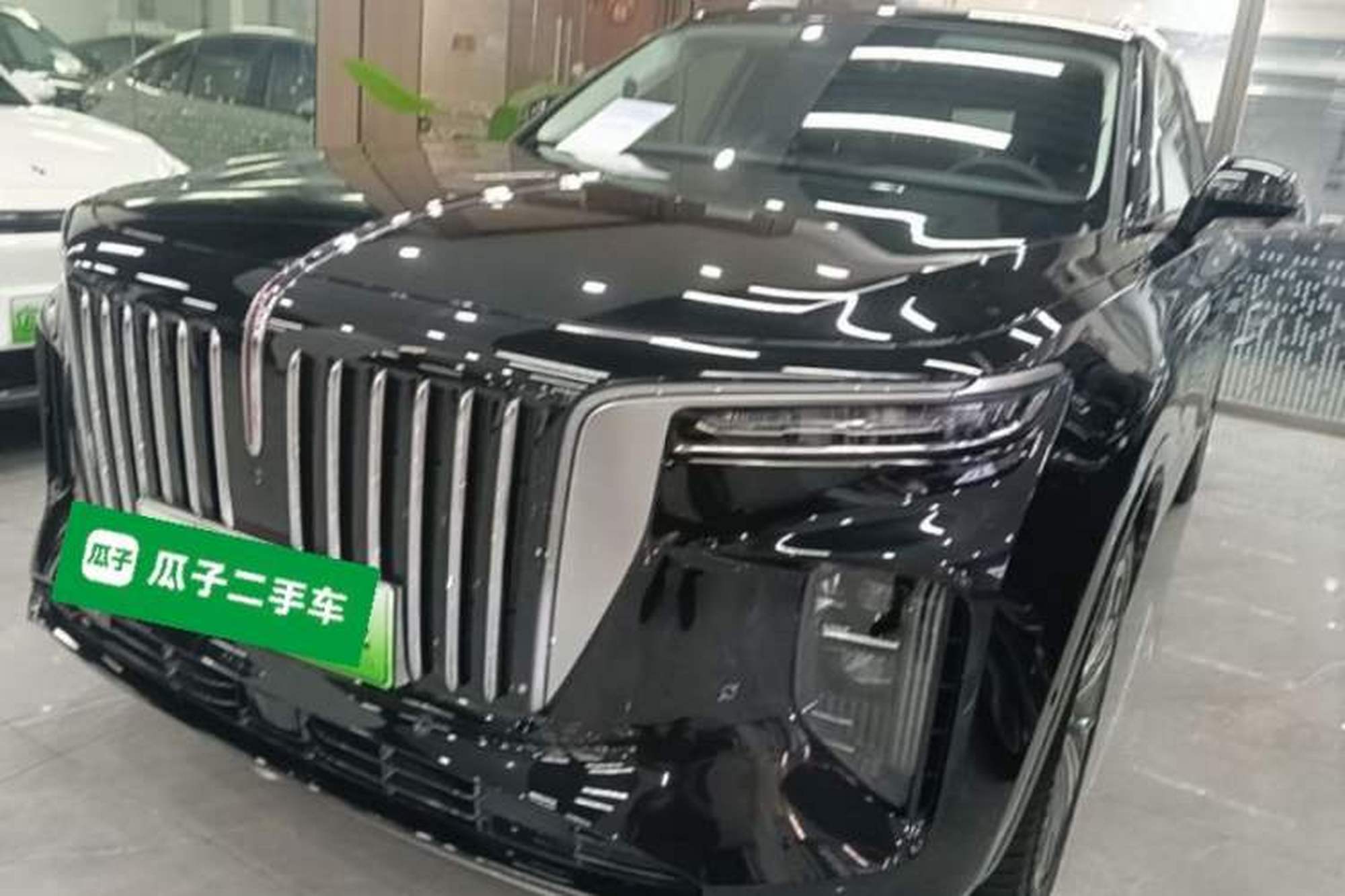HongQi E-HS9