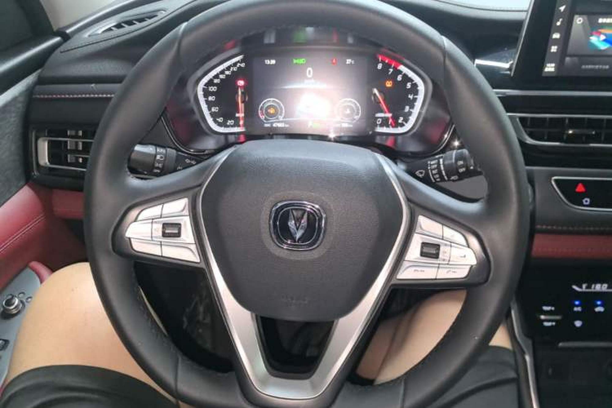 miniatura 13