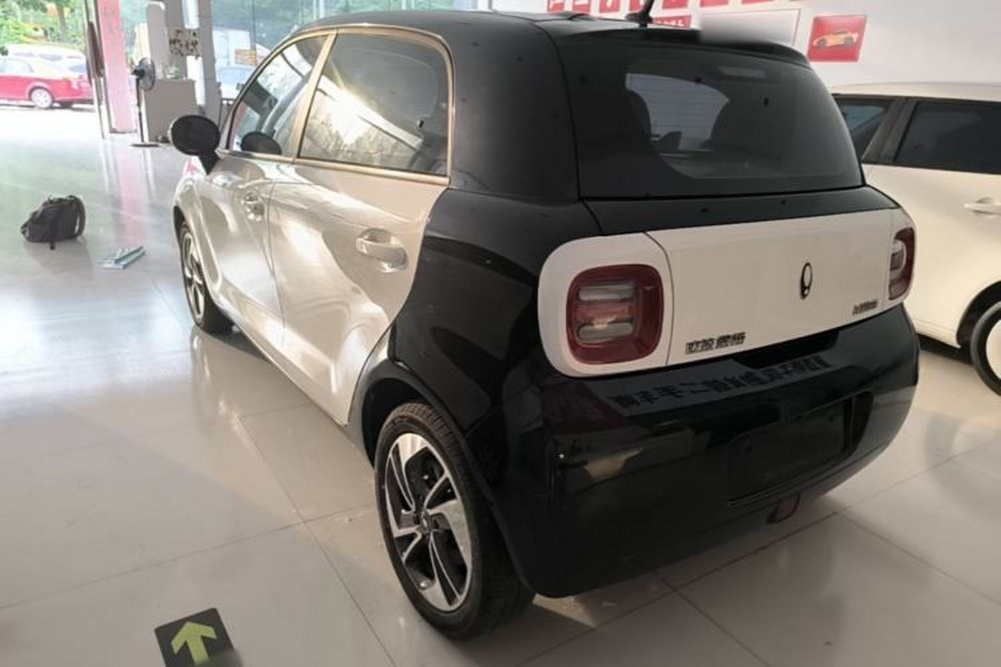 miniatura 13