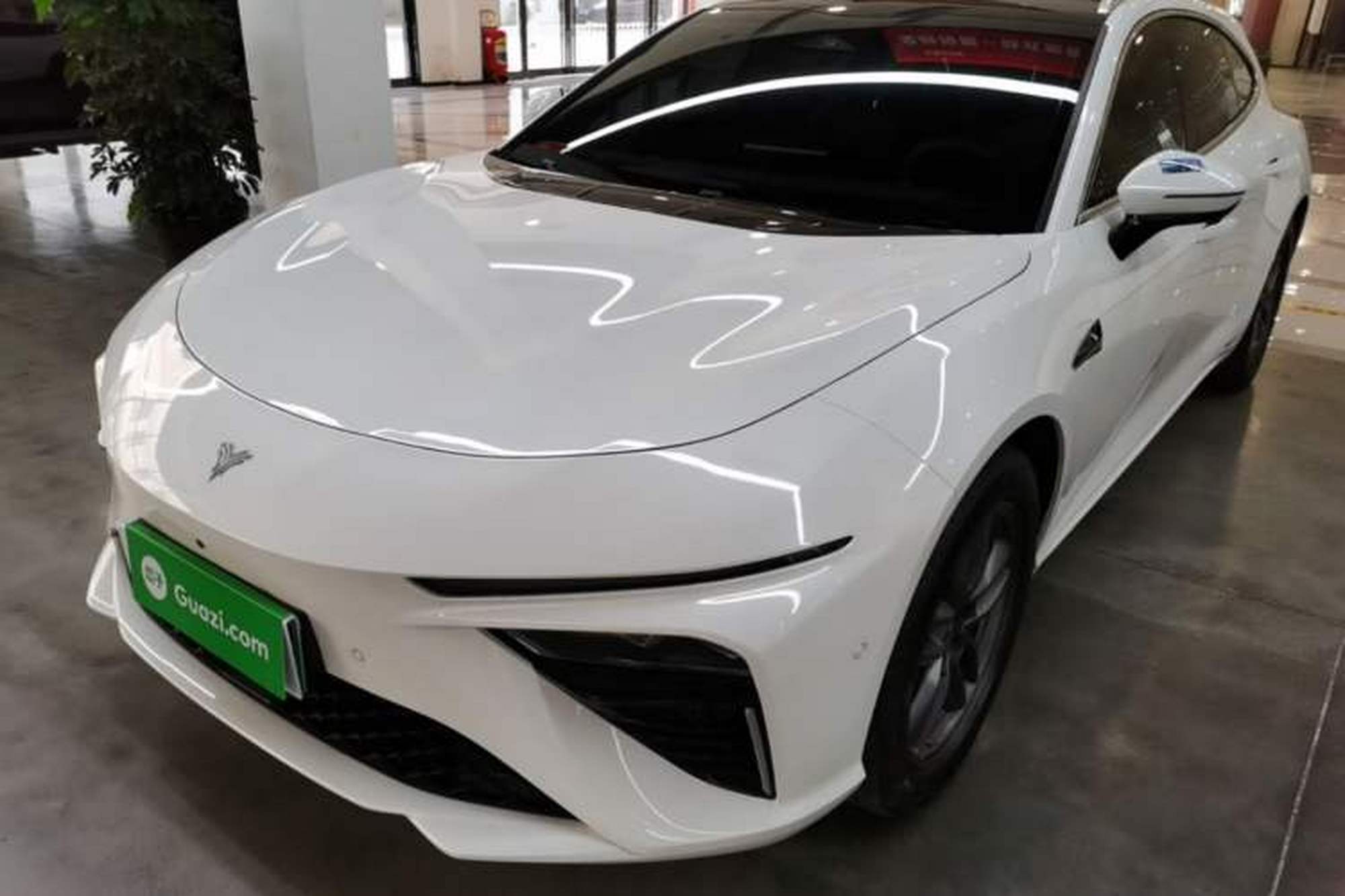 Neta S Shooting Brake
