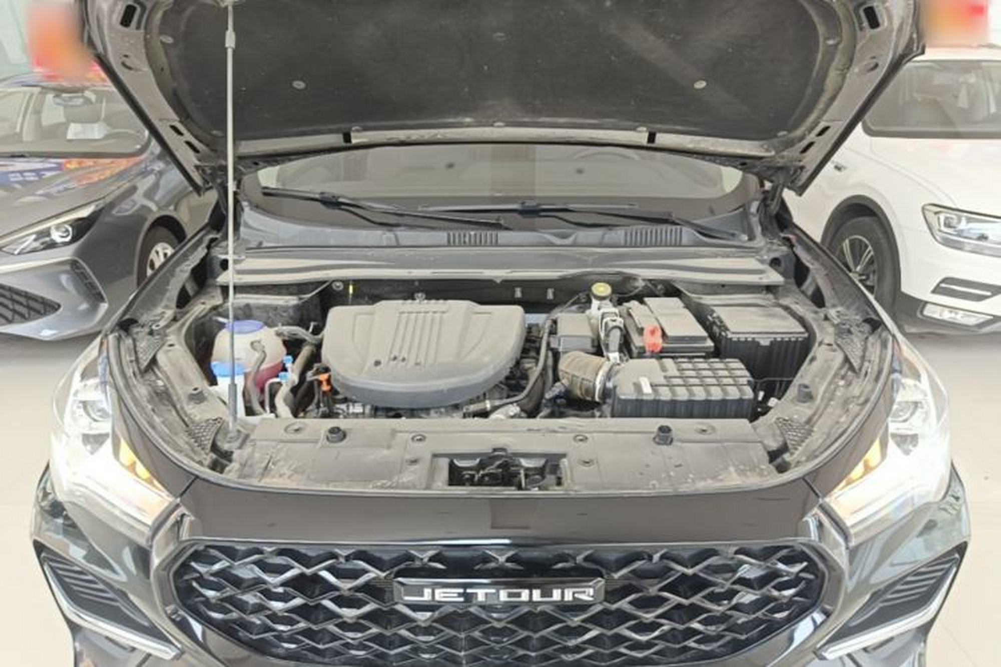 miniatura 24
