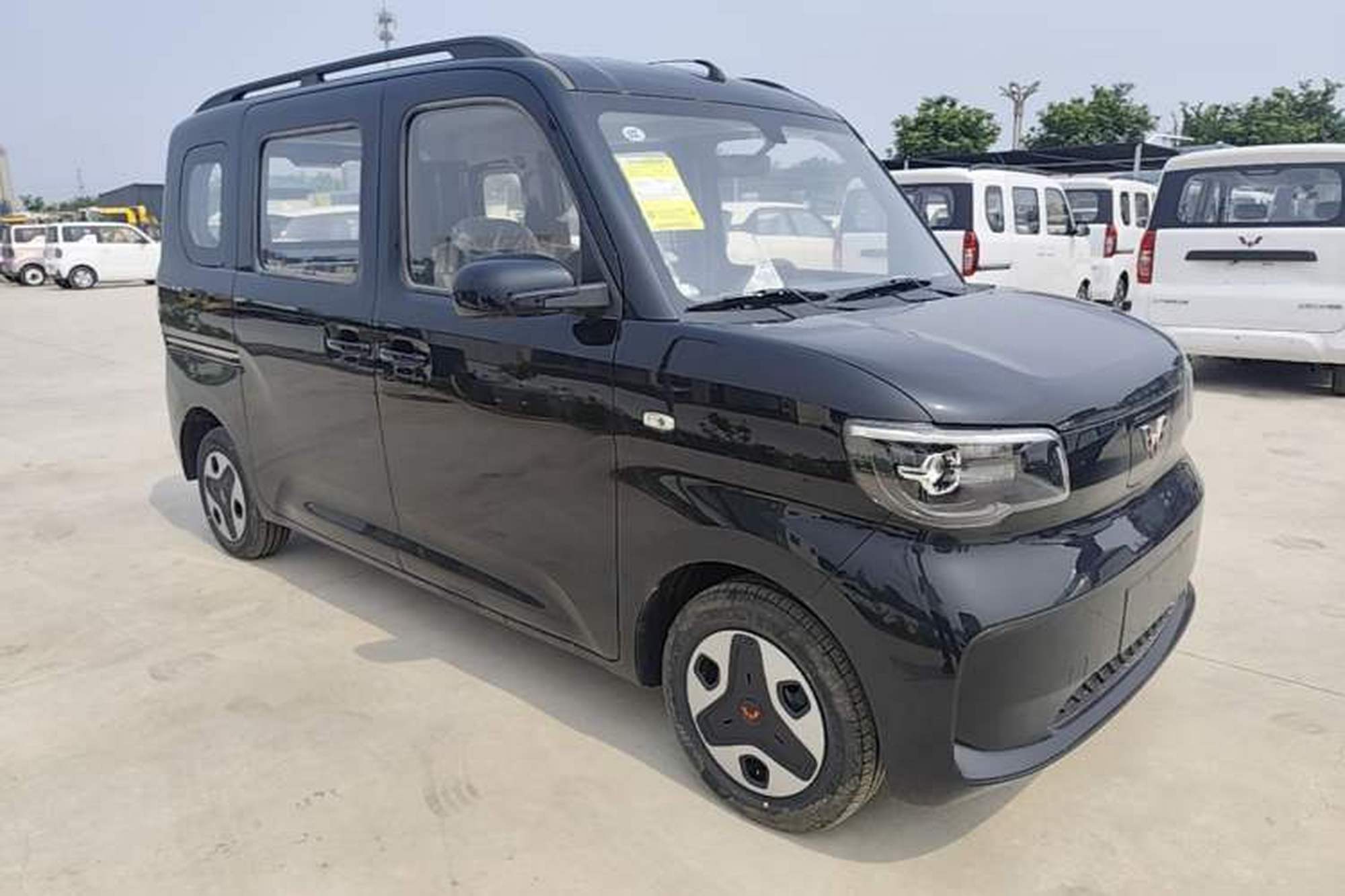 miniatura 3
