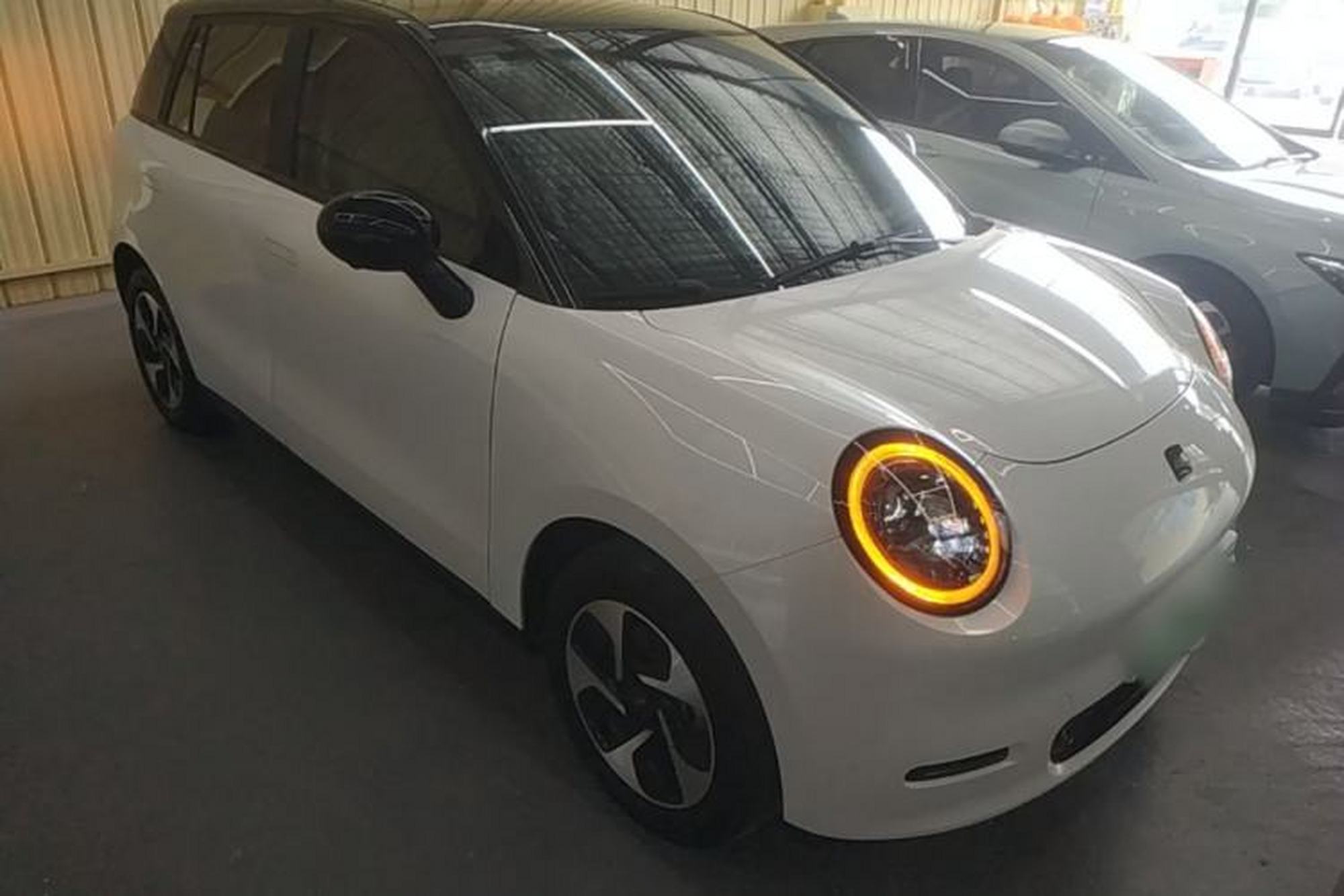 miniatura 3