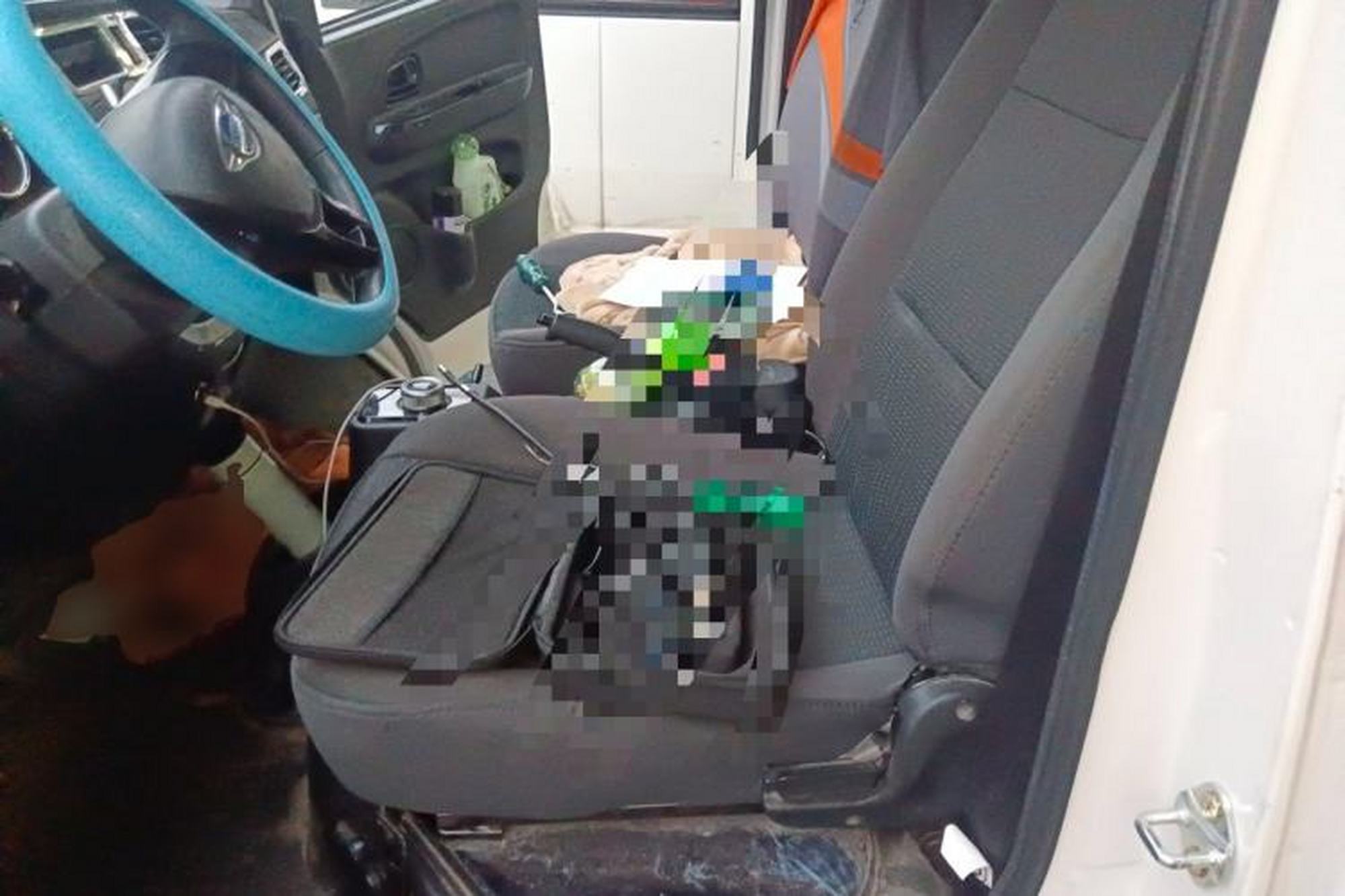 miniatura 15